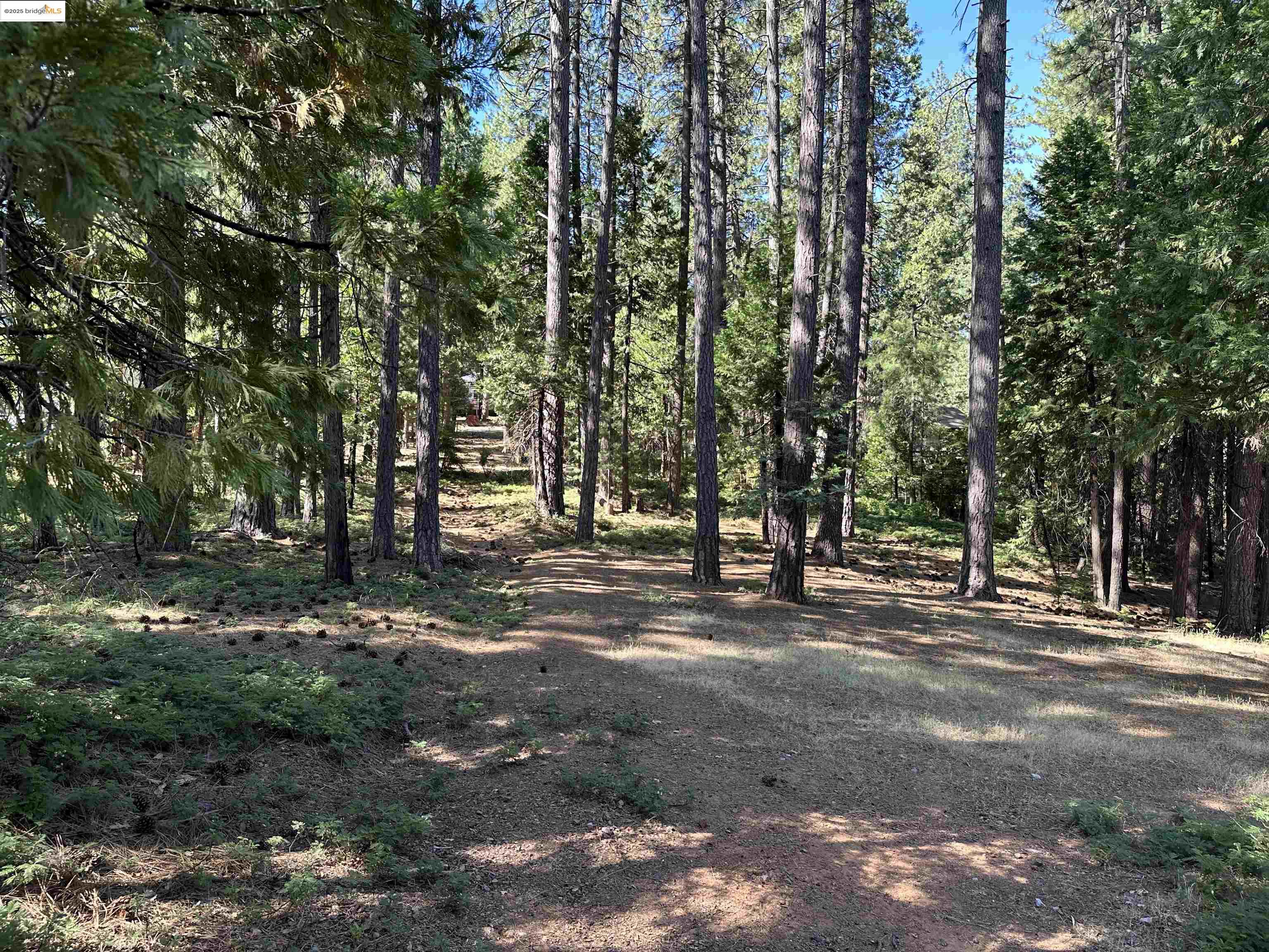 Detail Gallery Image 19 of 27 For 2142 El Dorado, Arnold,  CA 95223 - 3 Beds | 2 Baths