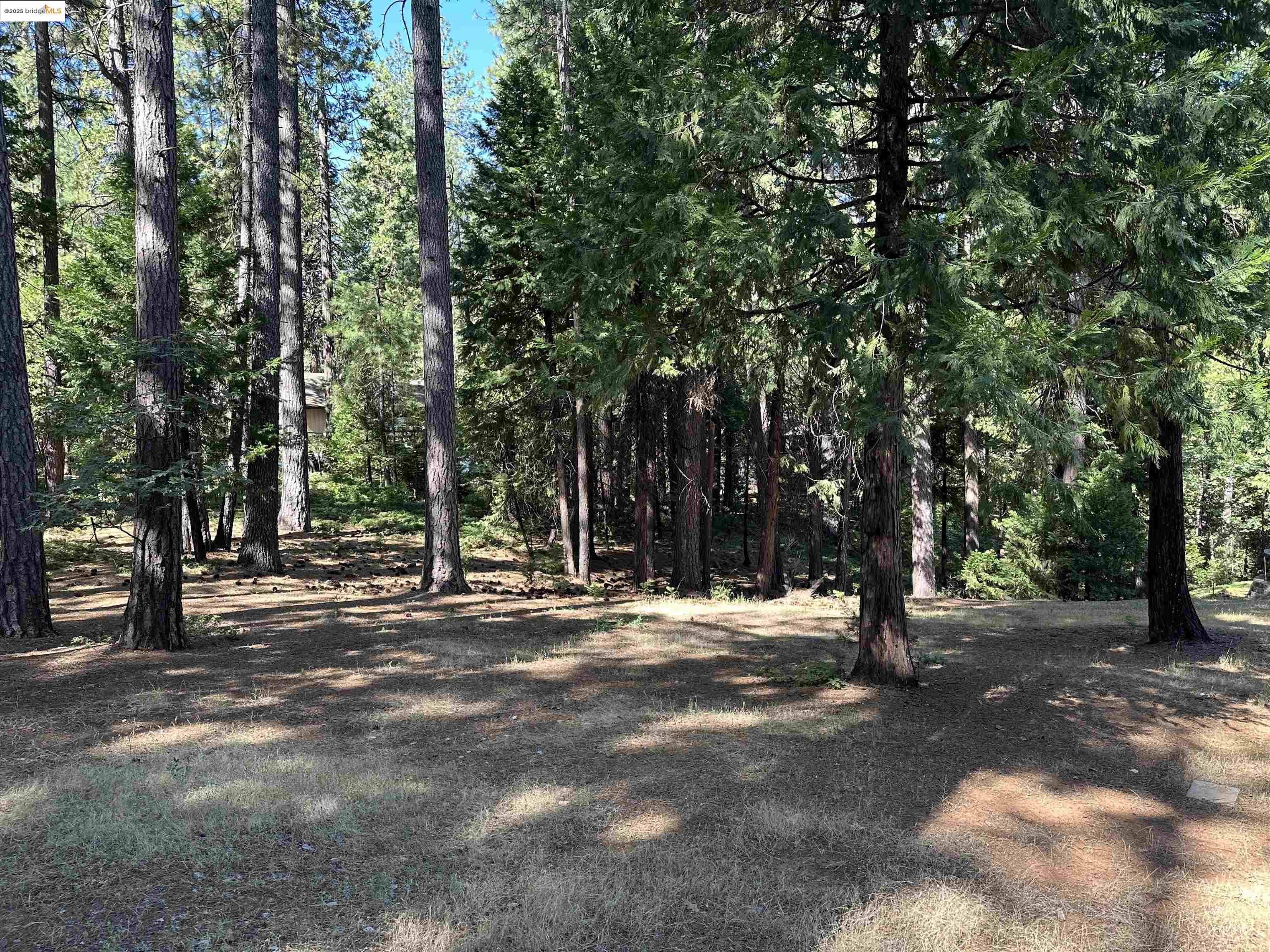 Detail Gallery Image 21 of 27 For 2142 El Dorado, Arnold,  CA 95223 - 3 Beds | 2 Baths