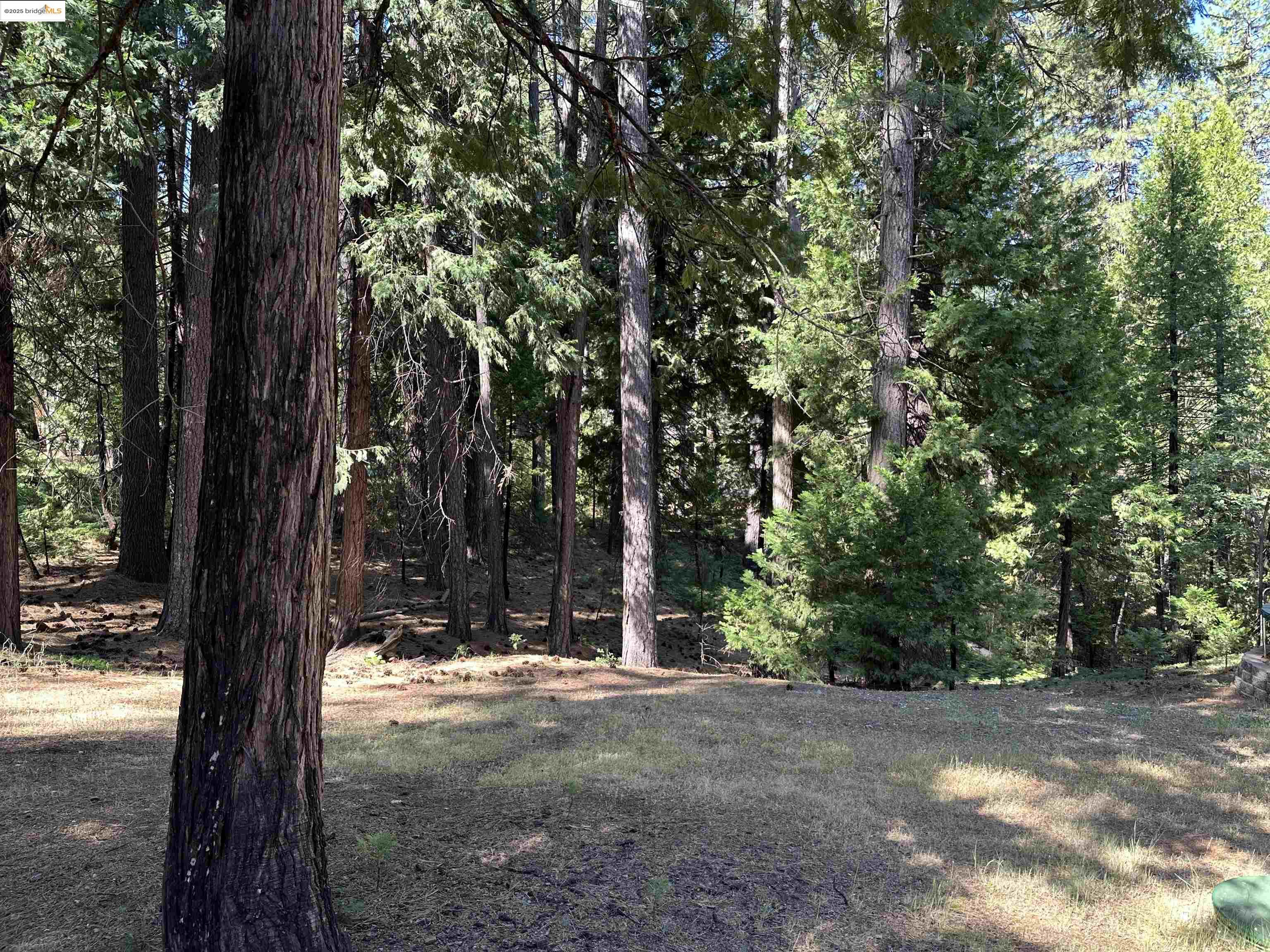 Detail Gallery Image 22 of 27 For 2142 El Dorado, Arnold,  CA 95223 - 3 Beds | 2 Baths
