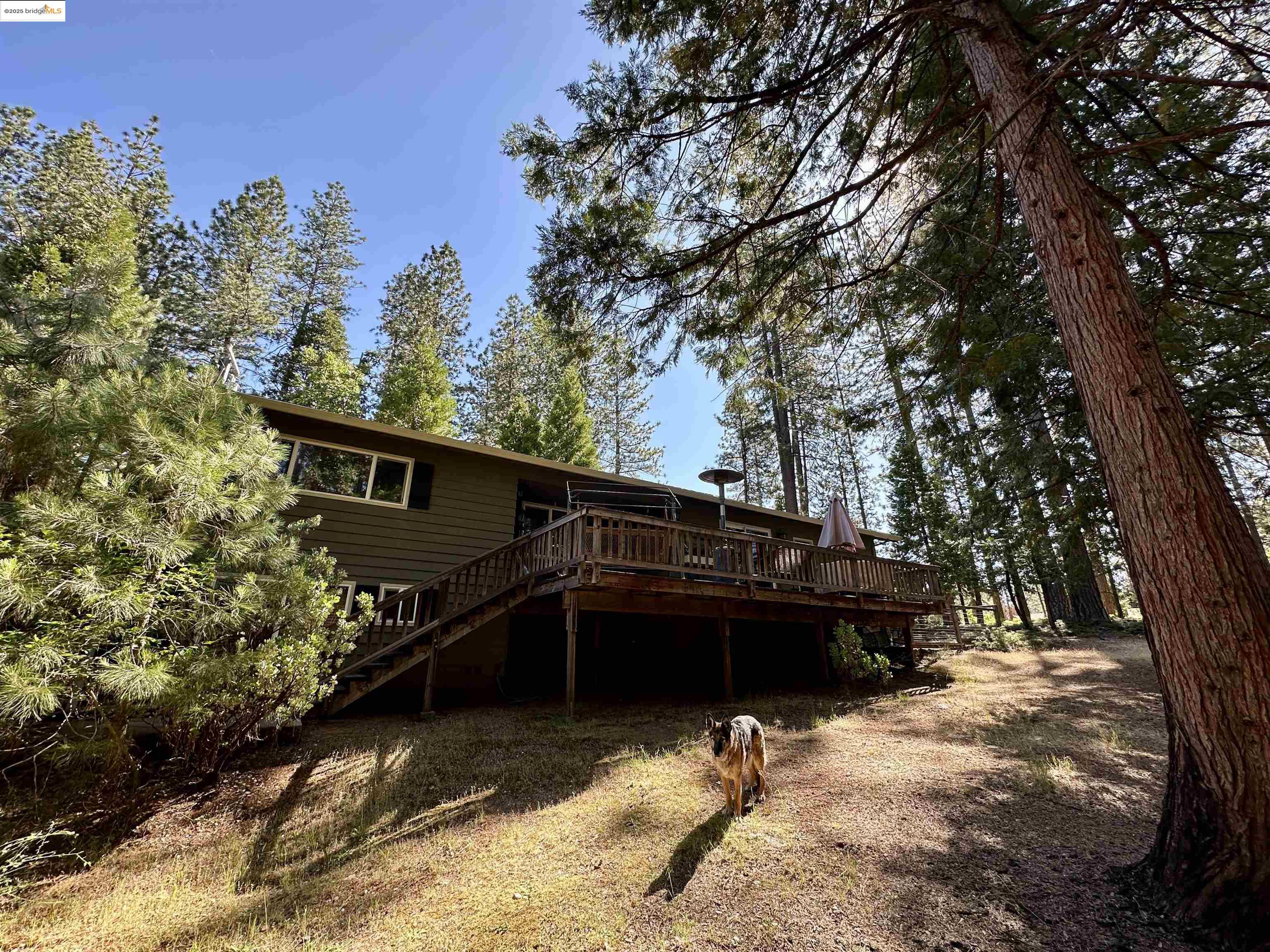 Detail Gallery Image 23 of 27 For 2142 El Dorado, Arnold,  CA 95223 - 3 Beds | 2 Baths
