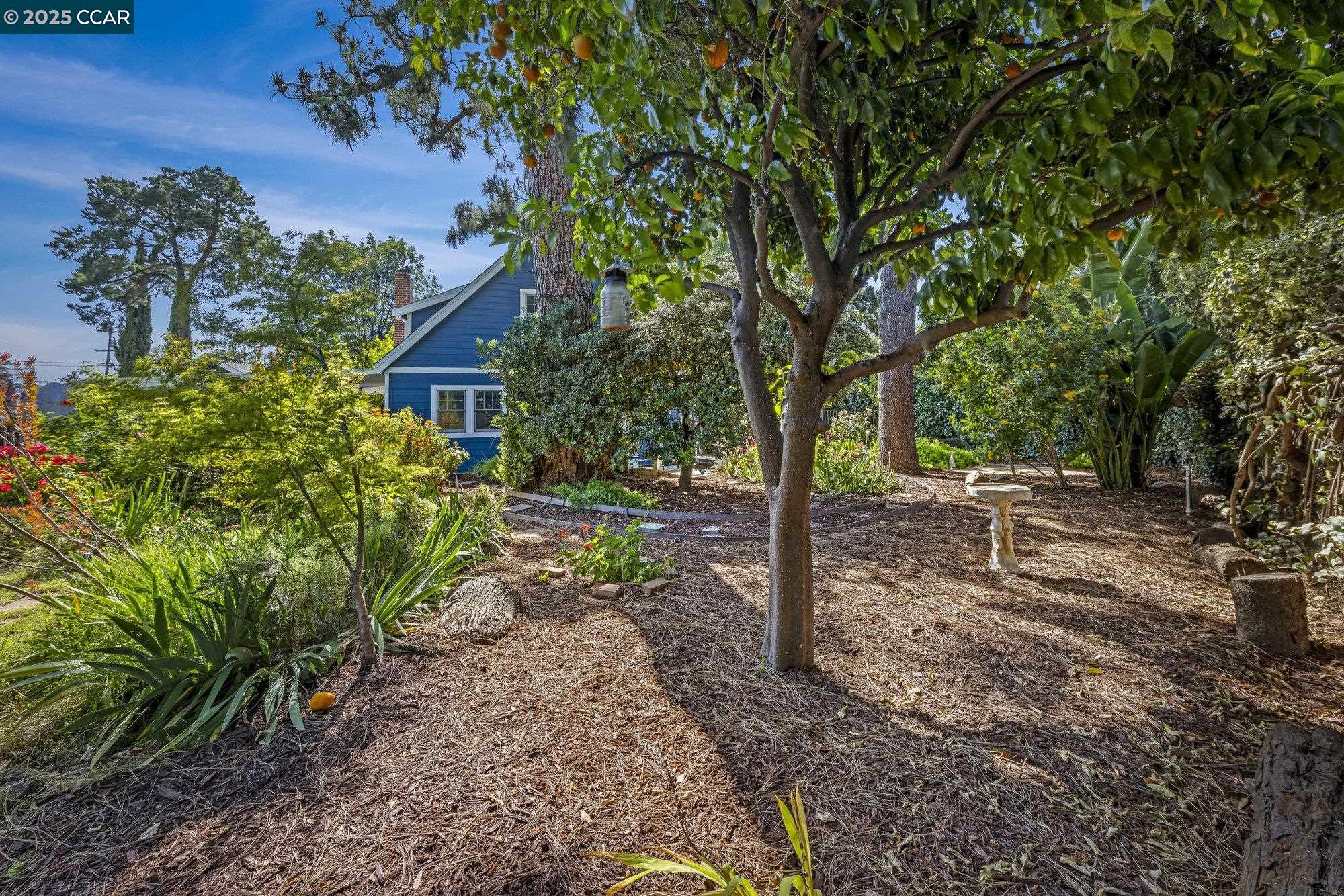 Detail Gallery Image 39 of 60 For 3505 Euclid Ave, Concord,  CA 94519 - 4 Beds | 3 Baths
