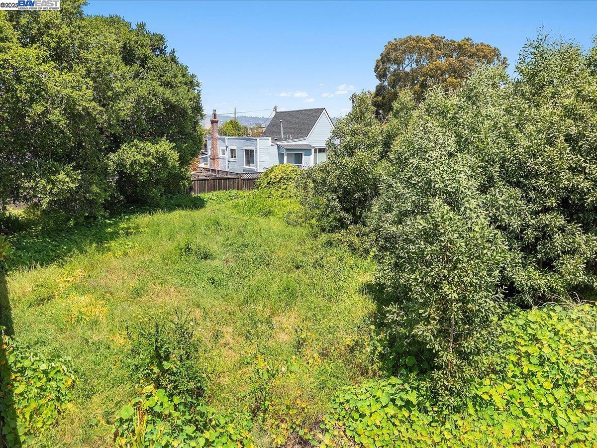 Detail Gallery Image 13 of 18 For 310 Spruce St, Alameda,  CA 94501 - – Beds | – Baths