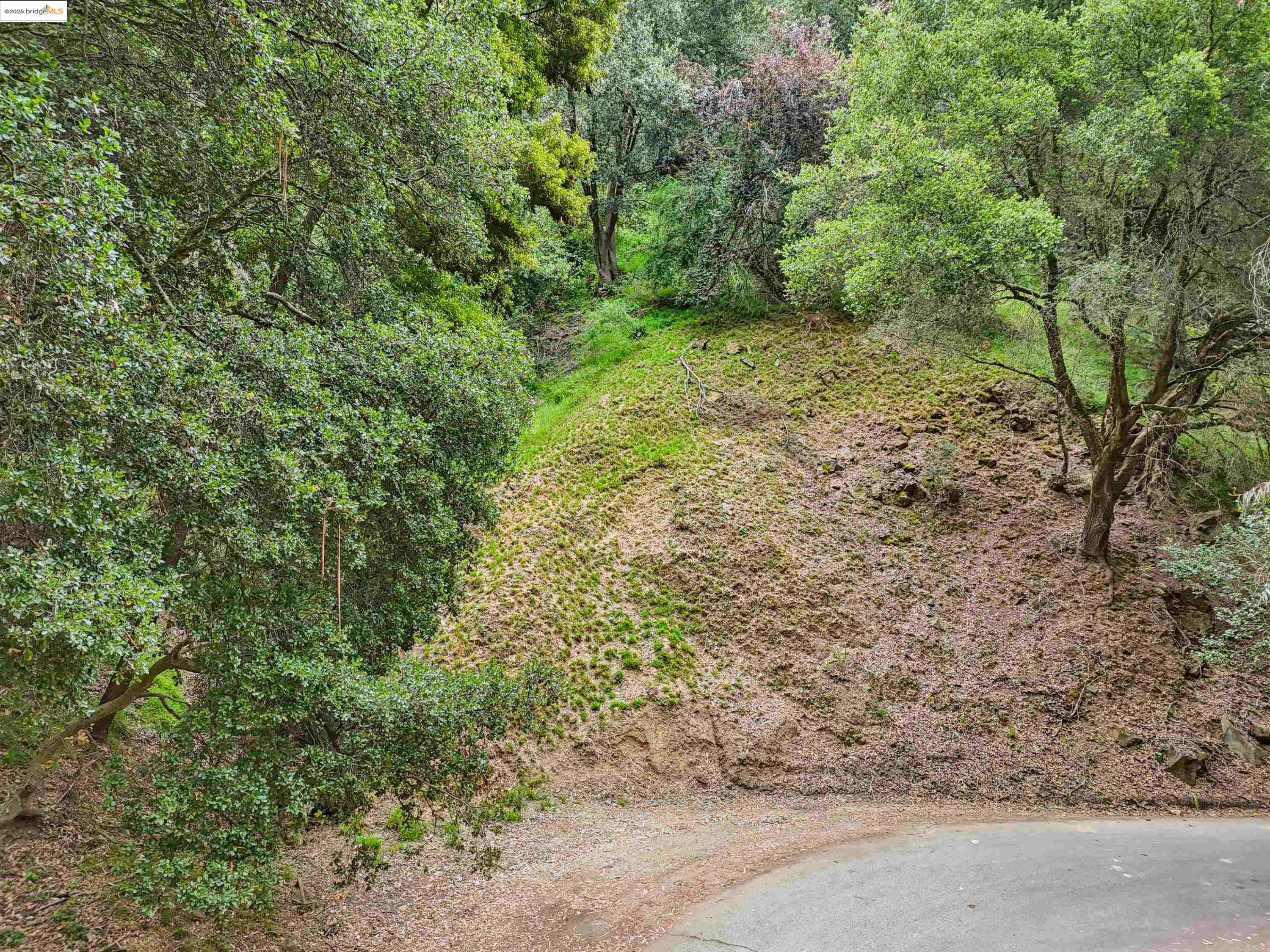 Detail Gallery Image 4 of 13 For Girvin Dr, Oakland,  CA 94603 - – Beds | – Baths