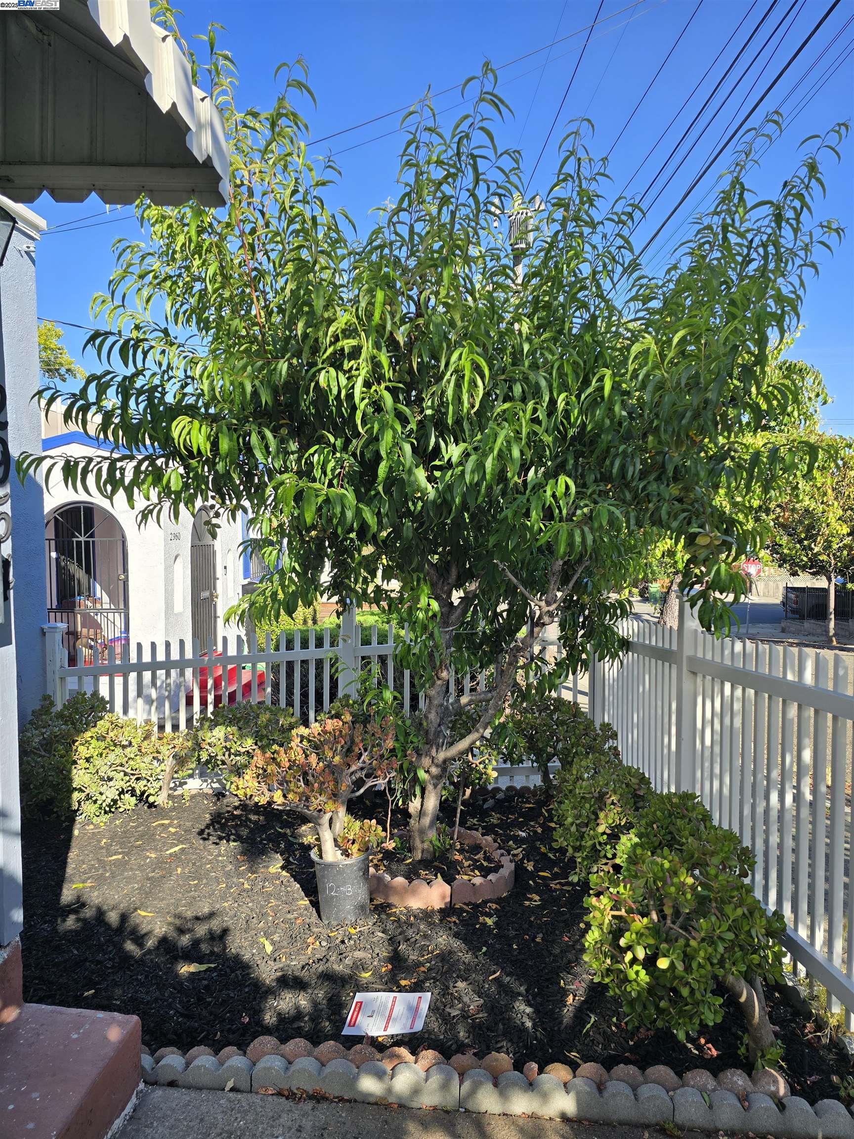 2954 Delaware St, Oakland, California 94602, 3 Bedrooms Bedrooms, 6 Rooms Rooms,1 BathroomBathrooms,Residential,For Sale,2954 Delaware St,41102282