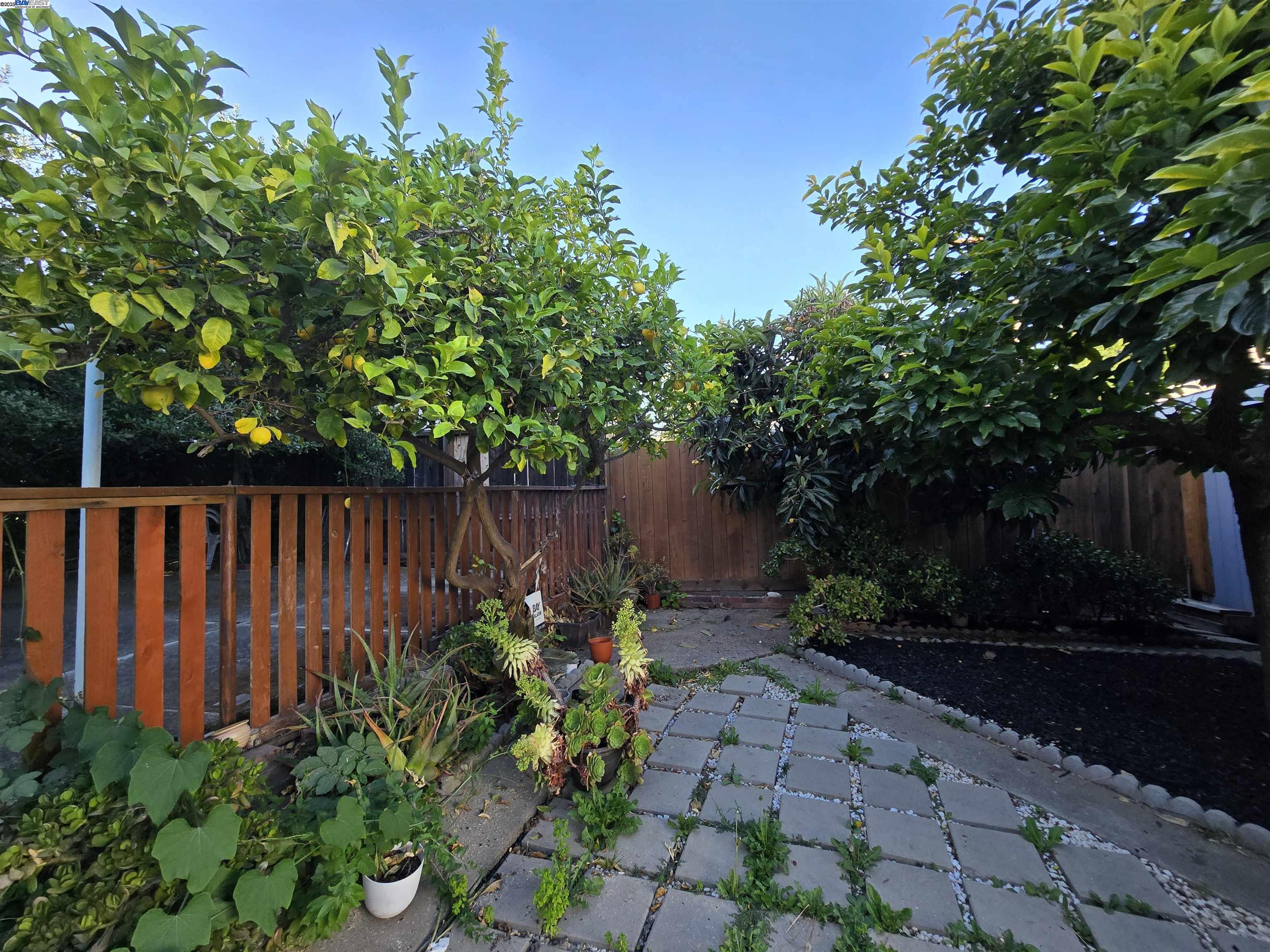 2954 Delaware St, Oakland, California 94602, 3 Bedrooms Bedrooms, 6 Rooms Rooms,1 BathroomBathrooms,Residential,For Sale,2954 Delaware St,41102282