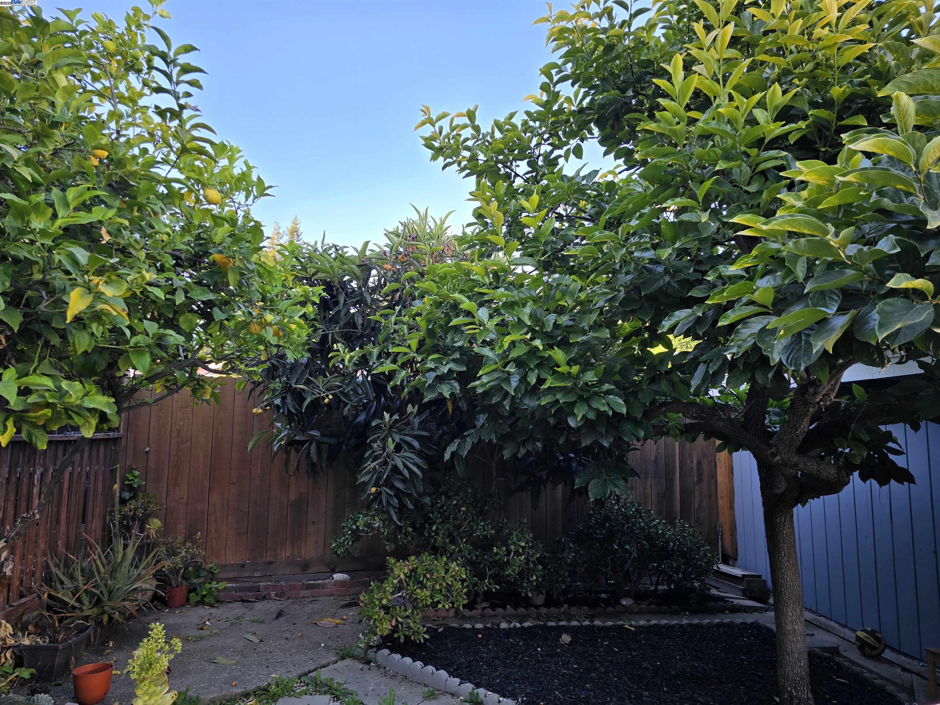 2954 Delaware St, Oakland, California 94602, 3 Bedrooms Bedrooms, 6 Rooms Rooms,1 BathroomBathrooms,Residential,For Sale,2954 Delaware St,41102282