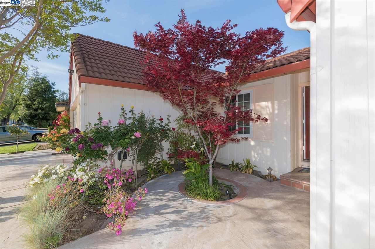 39610 Benavente Ave, Fremont, California 94539, 3 Bedrooms Bedrooms, 6 Rooms Rooms,2 BathroomsBathrooms,Residential Lease,For Rent,39610 Benavente Ave,41102287