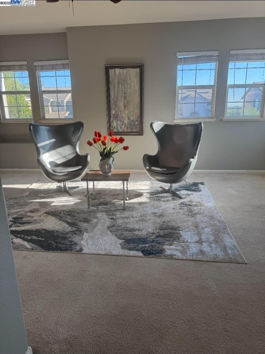 Detail Gallery Image 21 of 28 For 1242 Ne Tulloch, Tracy,  CA 95304 - 5 Beds | 3 Baths
