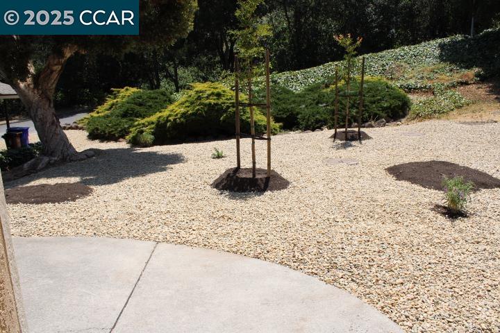 1872 Tesoro Ct, Pinole, California 94564, 3 Bedrooms Bedrooms, 6 Rooms Rooms,1 BathroomBathrooms,Residential Lease,For Rent,1872 Tesoro Ct,41102308