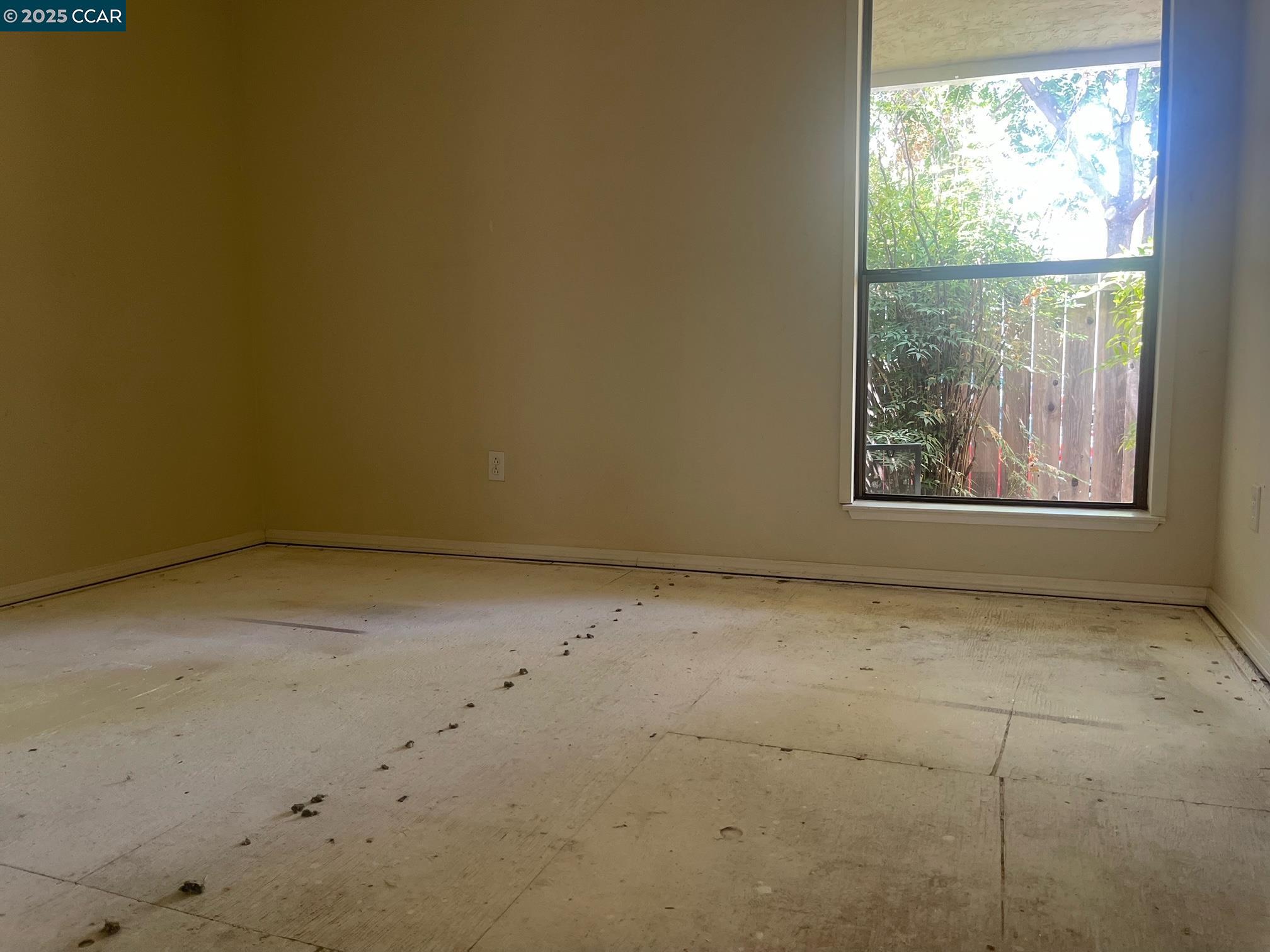 Photo #12: 41102310 Listing: Photo #12