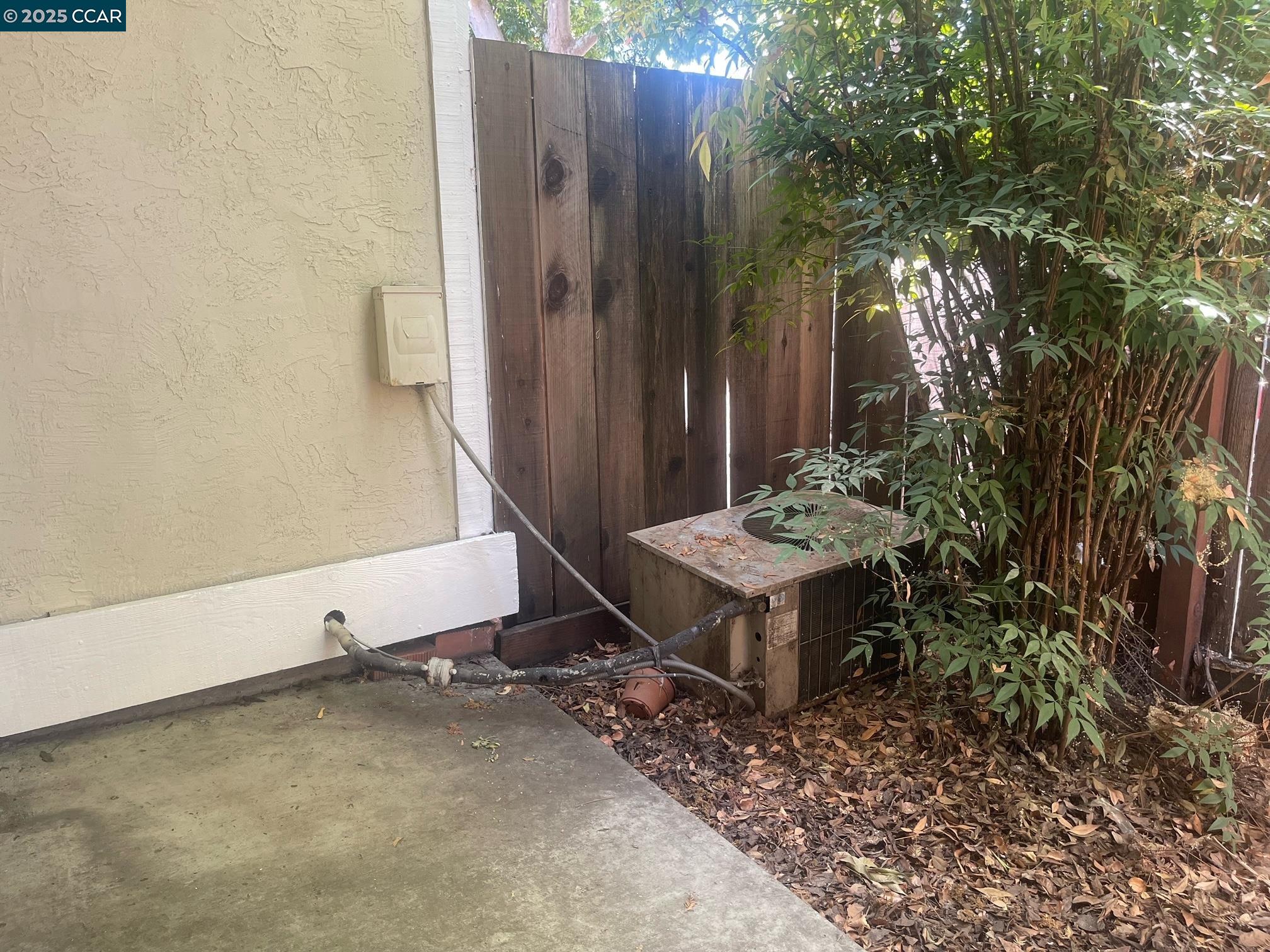Photo #13: 41102310 Listing: Photo #13