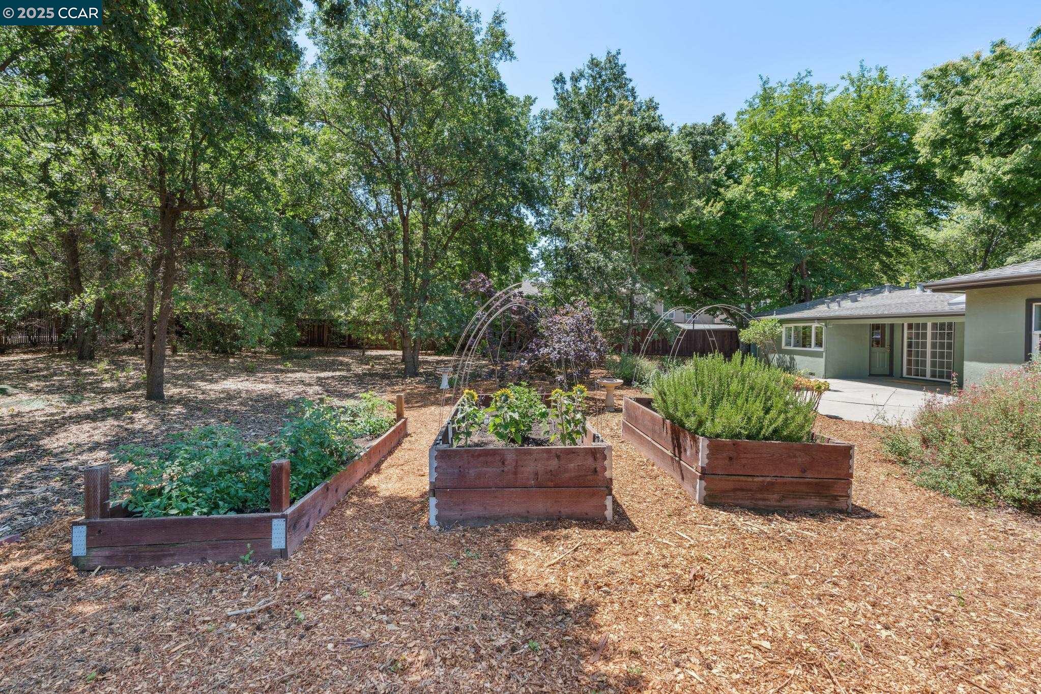 Detail Gallery Image 30 of 40 For 41 Heather Ln, Walnut Creek,  CA 94597 - 3 Beds | 1/1 Baths