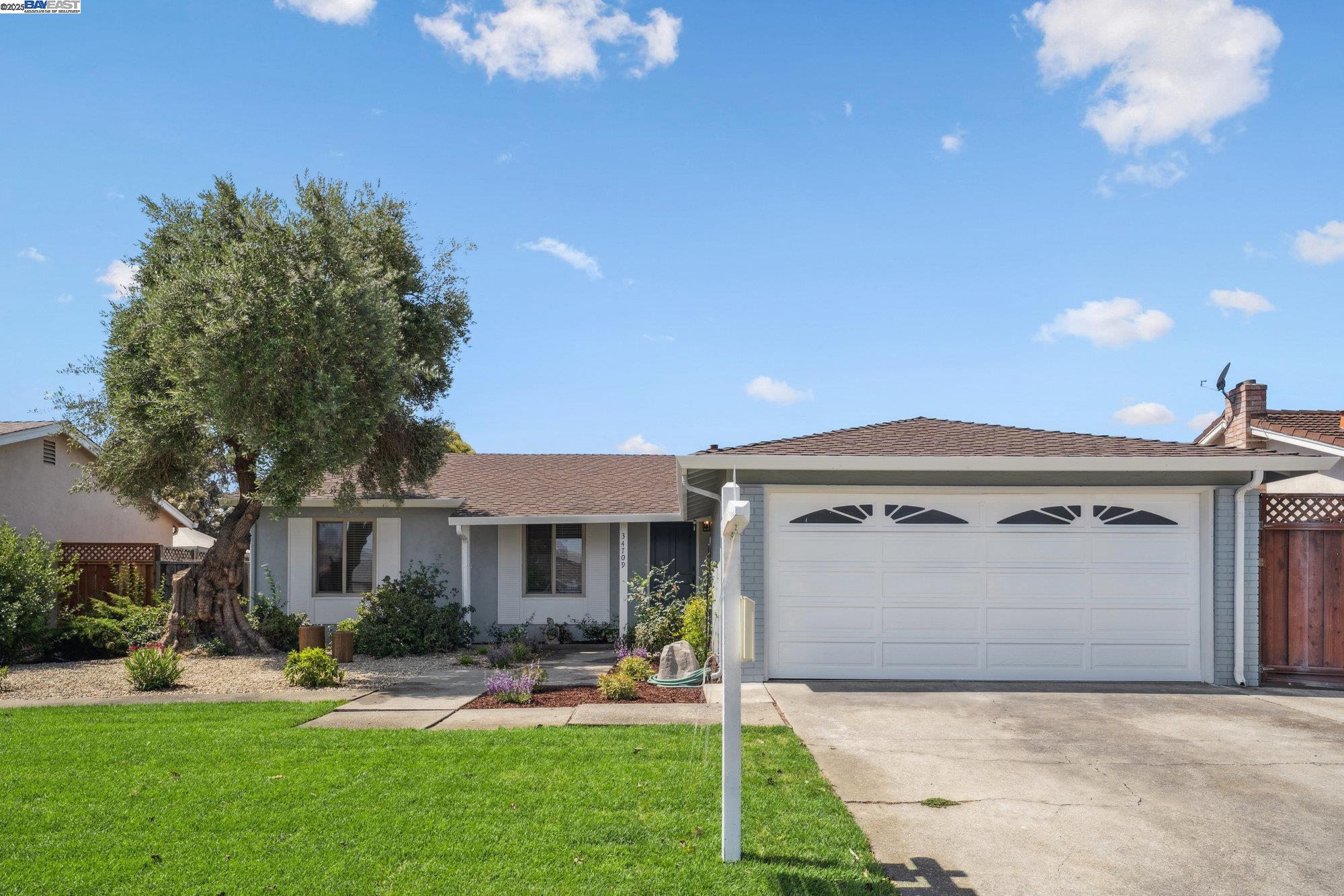 Detail Gallery Image 1 of 1 For 34709 Clover St, Union City,  CA 94587 - 3 Beds | 2 Baths