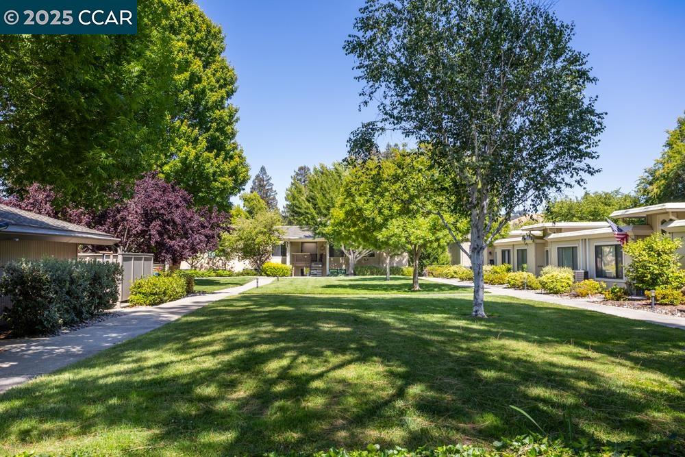 Photo #2: 41102401 Listing 