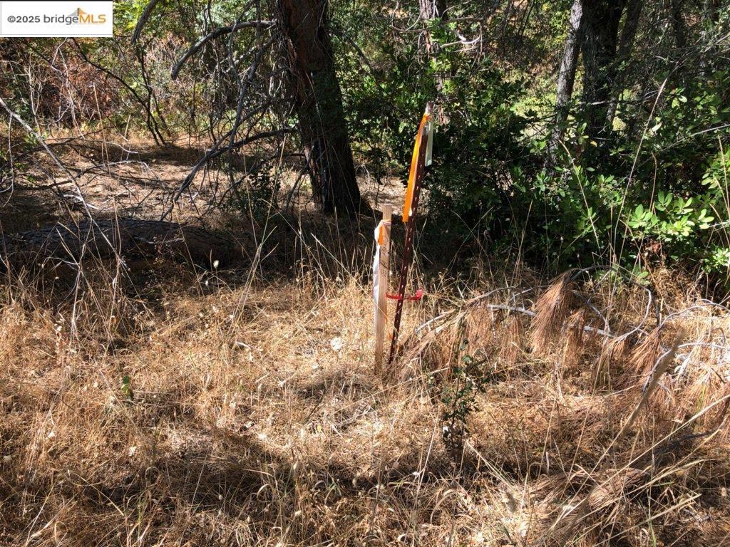 Detail Gallery Image 11 of 16 For 15941 Crestridge Avenue, Sonora,  CA 95370 - – Beds | – Baths
