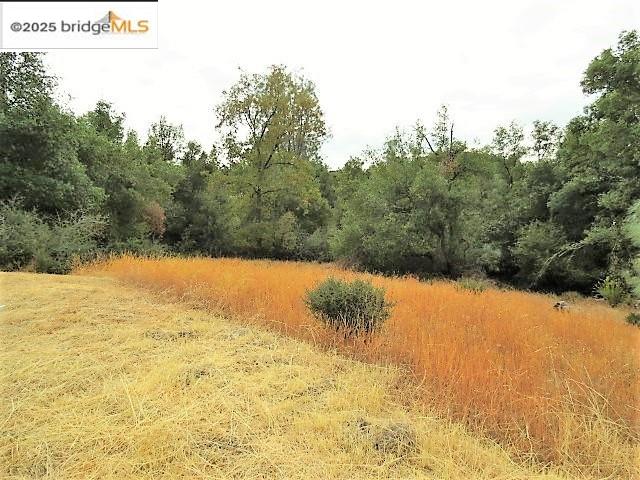 Detail Gallery Image 12 of 16 For 15941 Crestridge Avenue, Sonora,  CA 95370 - – Beds | – Baths