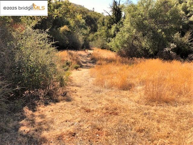 Detail Gallery Image 15 of 16 For 15941 Crestridge Avenue, Sonora,  CA 95370 - – Beds | – Baths