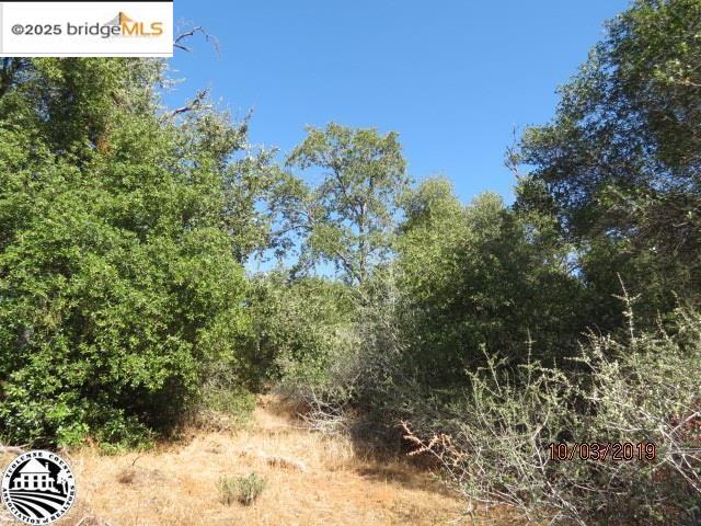 Detail Gallery Image 3 of 16 For 15941 Crestridge Avenue, Sonora,  CA 95370 - – Beds | – Baths