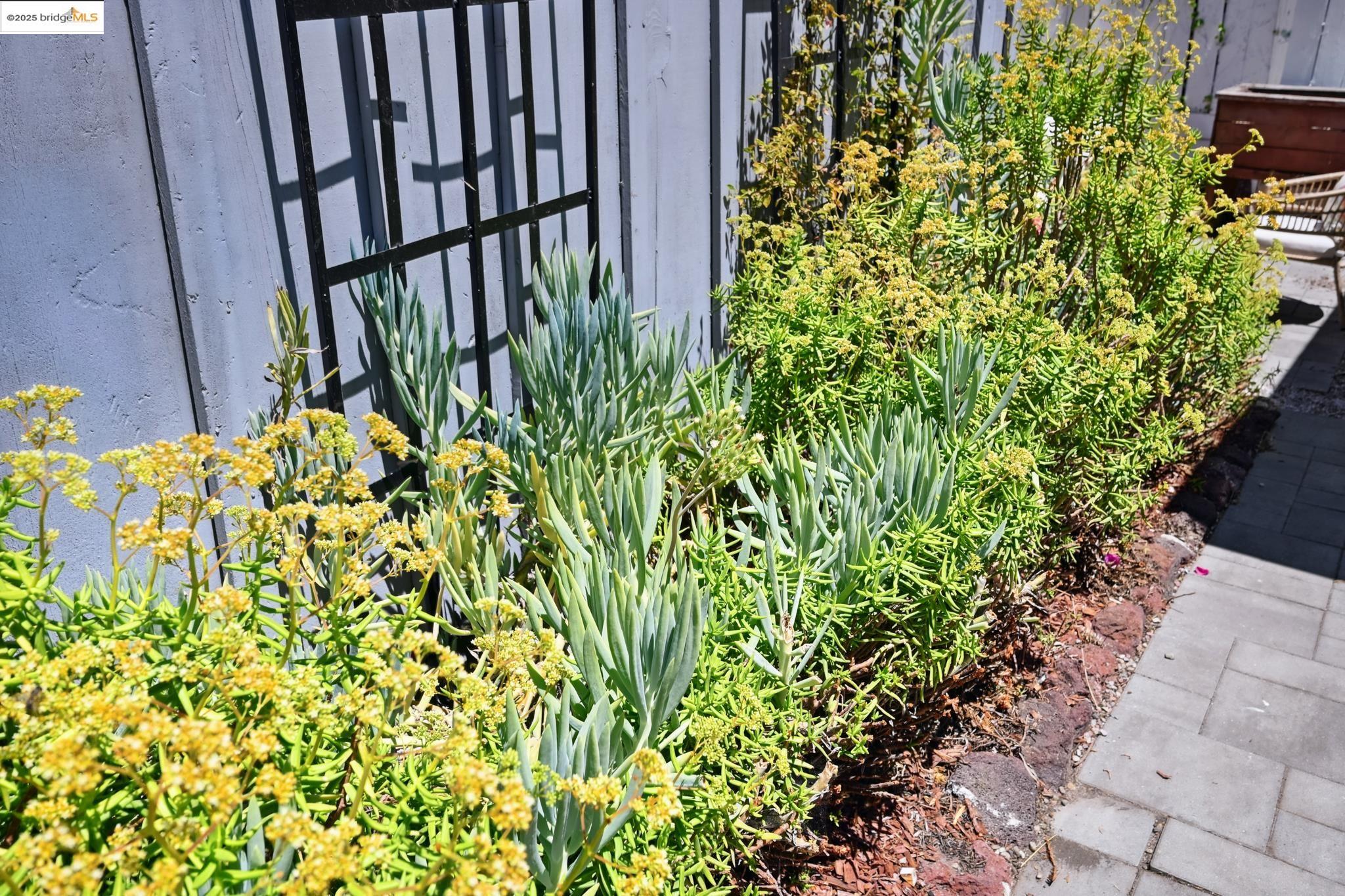 Detail Gallery Image 41 of 42 For 3316 Coolidge Ave, Oakland,  CA 94602 - 2 Beds | 2 Baths