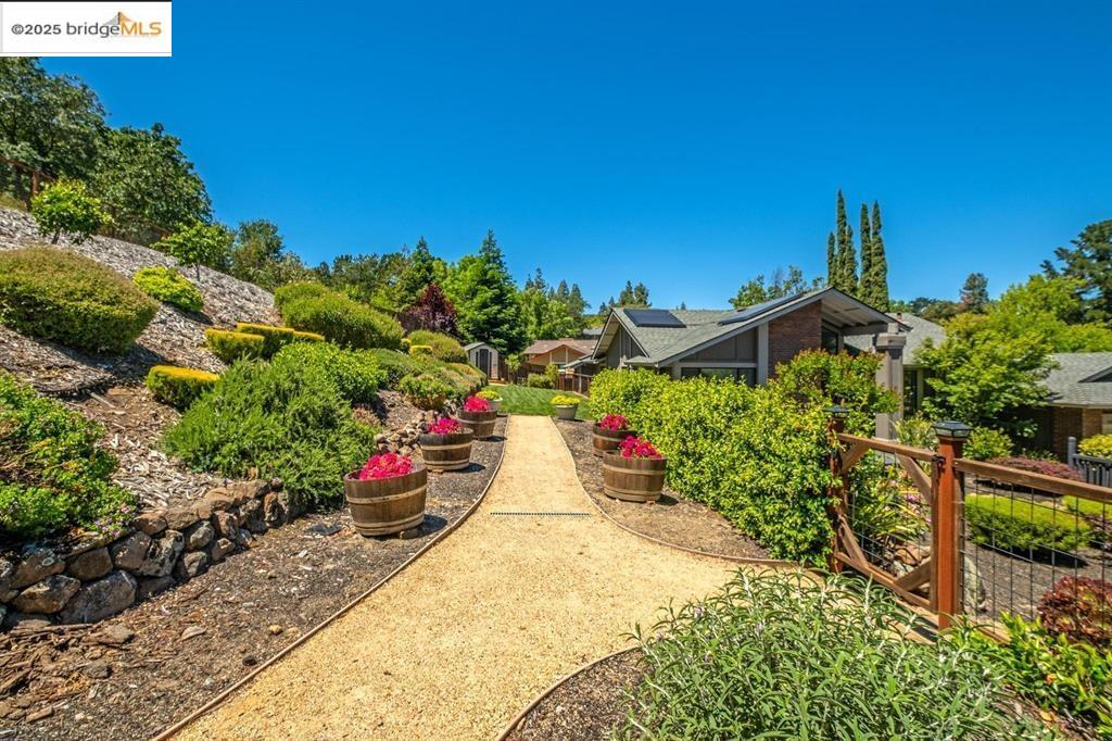 1431 Huston Rd, Walnut Creek, California 94597, 3 Bedrooms Bedrooms, 10 Rooms Rooms,2 BathroomsBathrooms,Residential Lease,For Rent,1431 Huston Rd,41102443