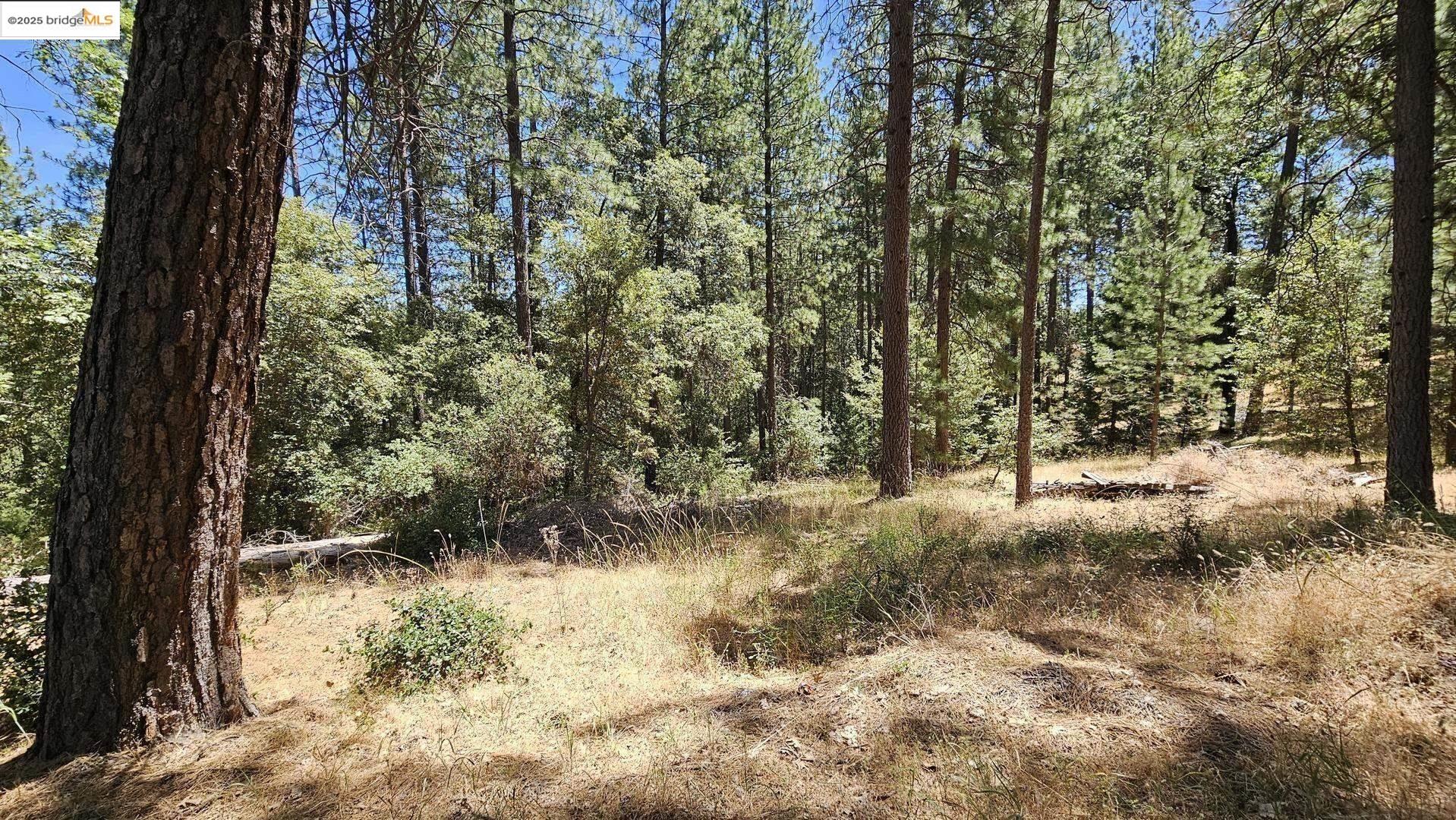 Detail Gallery Image 30 of 34 For 2367 Woodhouse Mine Rd, West Point,  CA 95255 - 2 Beds | 2 Baths