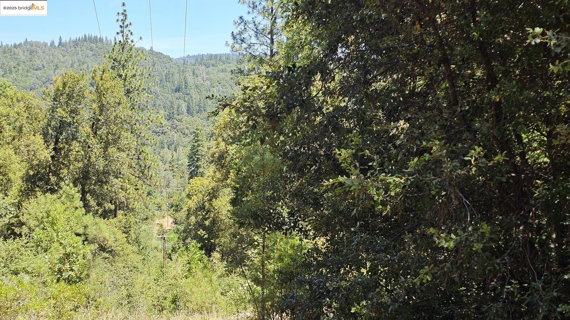Detail Gallery Image 31 of 34 For 2367 Woodhouse Mine Rd, West Point,  CA 95255 - 2 Beds | 2 Baths