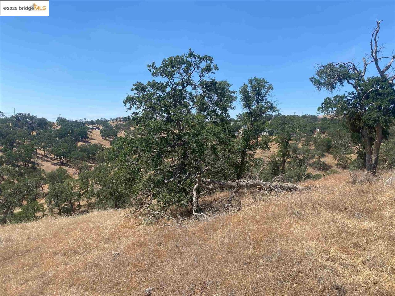 Detail Gallery Image 13 of 15 For 9787 Alamo Drive, La Grange,  CA 95329 - – Beds | – Baths