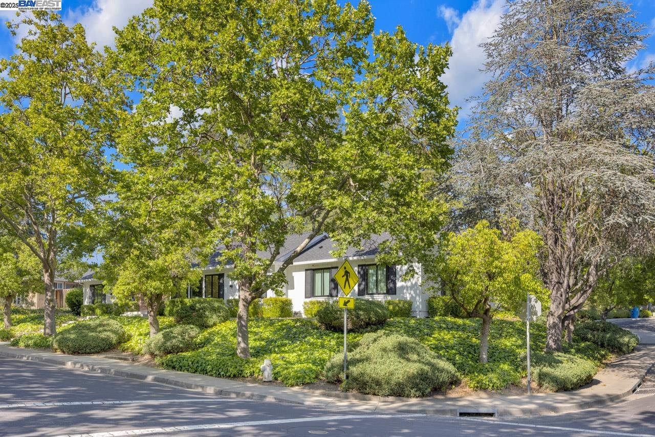 Detail Gallery Image 9 of 40 For 560 Old Orchard Drive, Danville,  CA 94526 - 4 Beds | 2/1 Baths