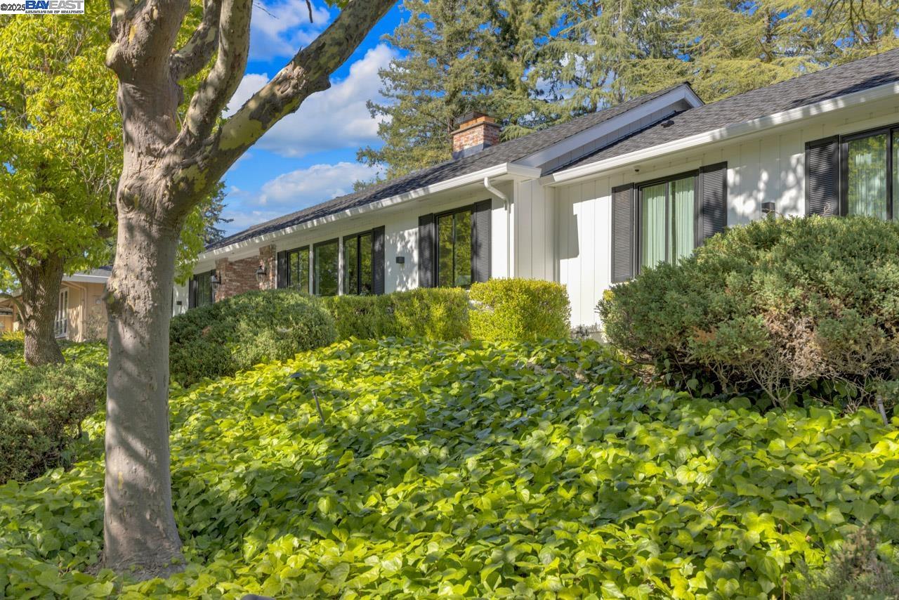 Detail Gallery Image 10 of 40 For 560 Old Orchard Drive, Danville,  CA 94526 - 4 Beds | 2/1 Baths