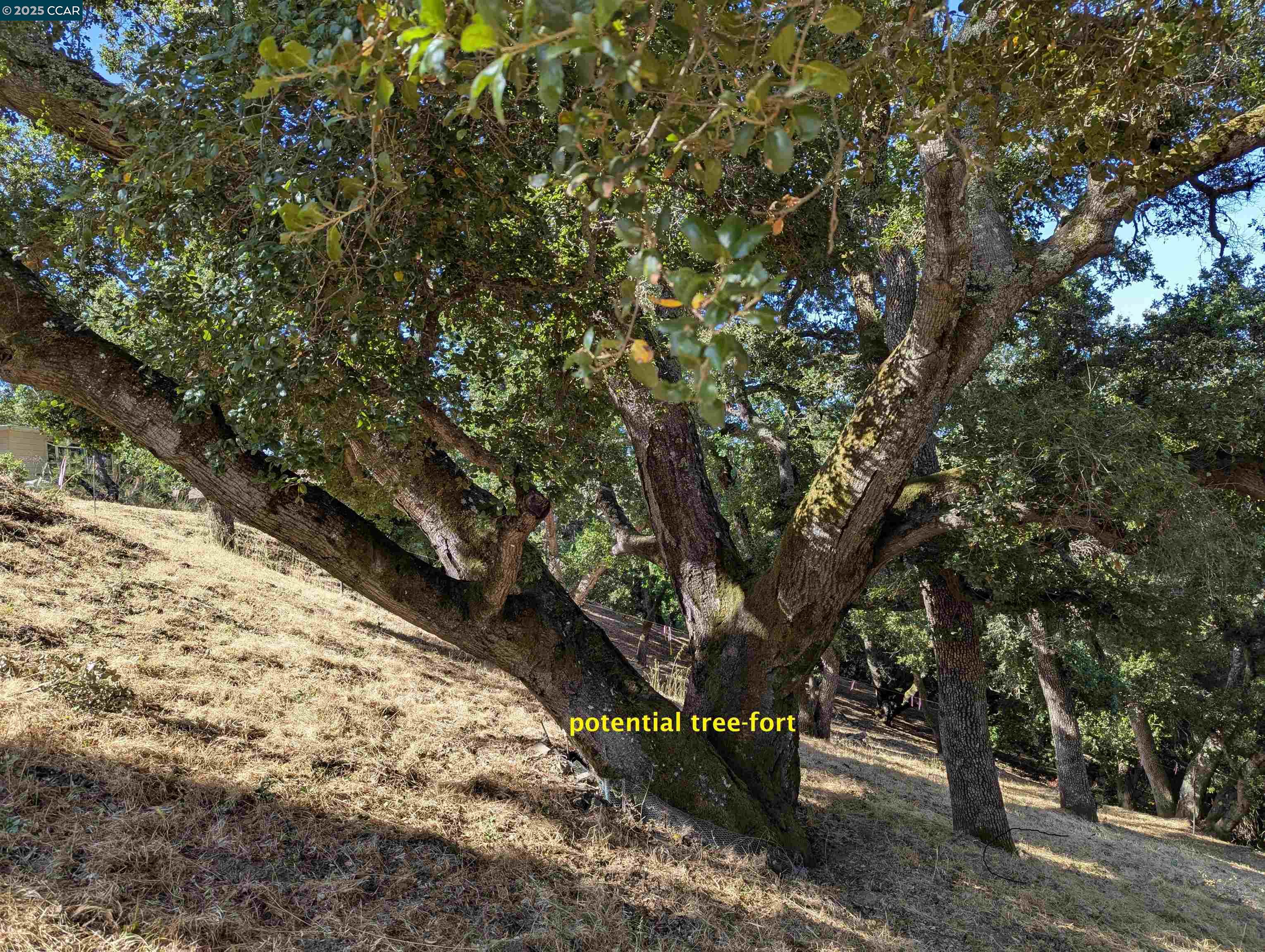 Detail Gallery Image 27 of 31 For 13 St James Ct, Orinda,  CA 94563 - – Beds | – Baths