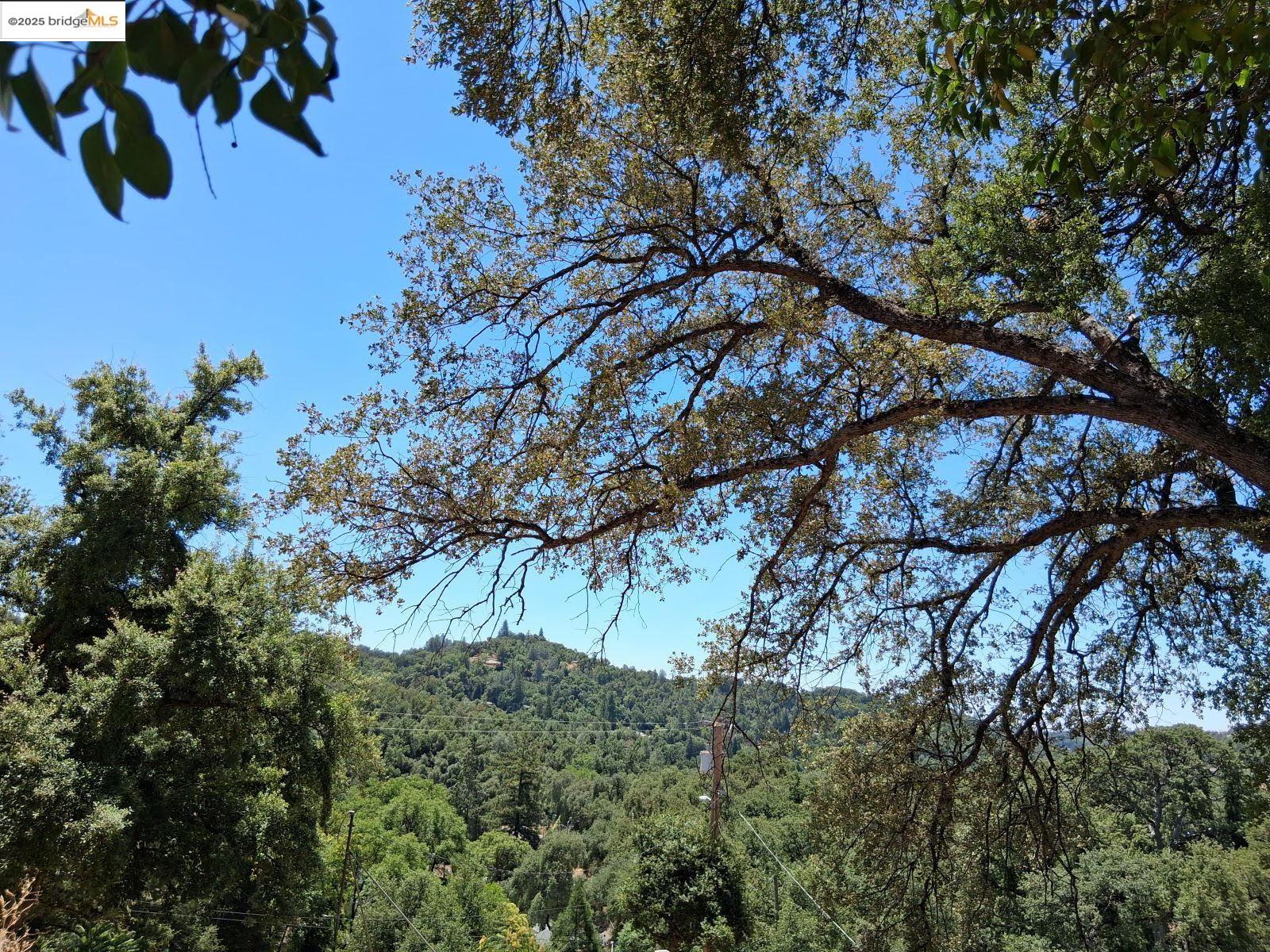 Detail Gallery Image 12 of 16 For 302 Ayba St, Sonora,  CA 95370 - 3 Beds | 2 Baths