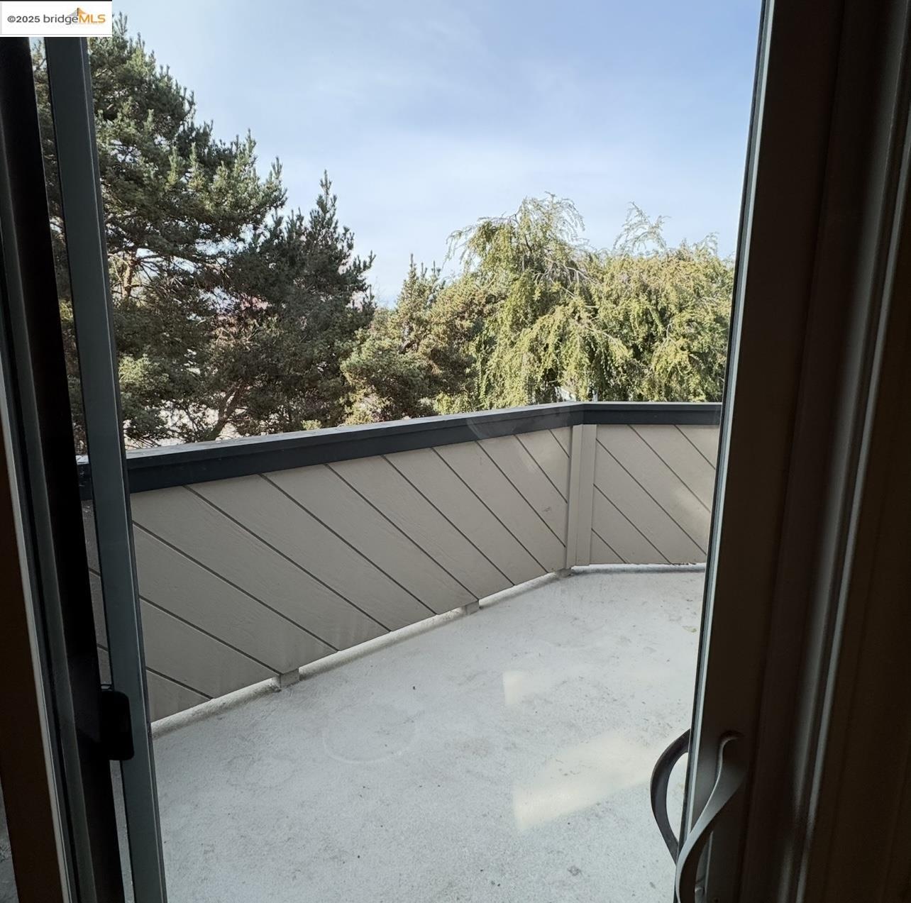 Photo #9: 41102562 Listing: Photo #9