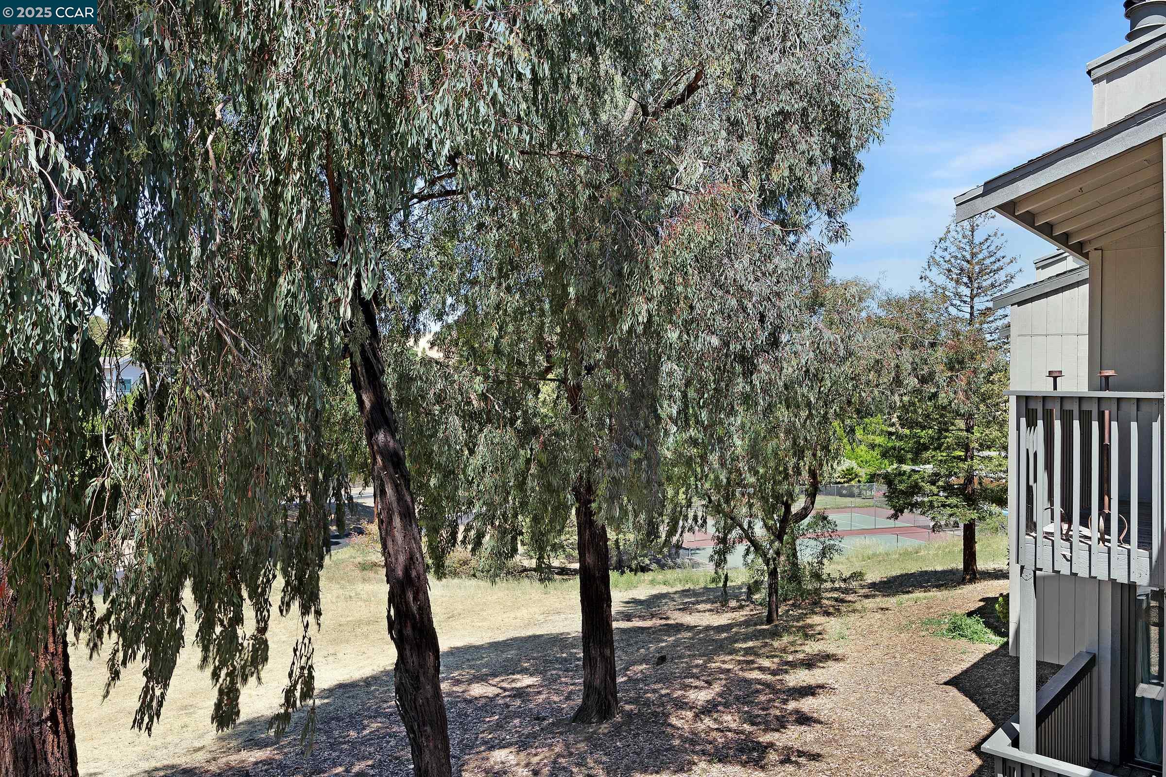Photo #29: 41102579 Listing: Photo #29
