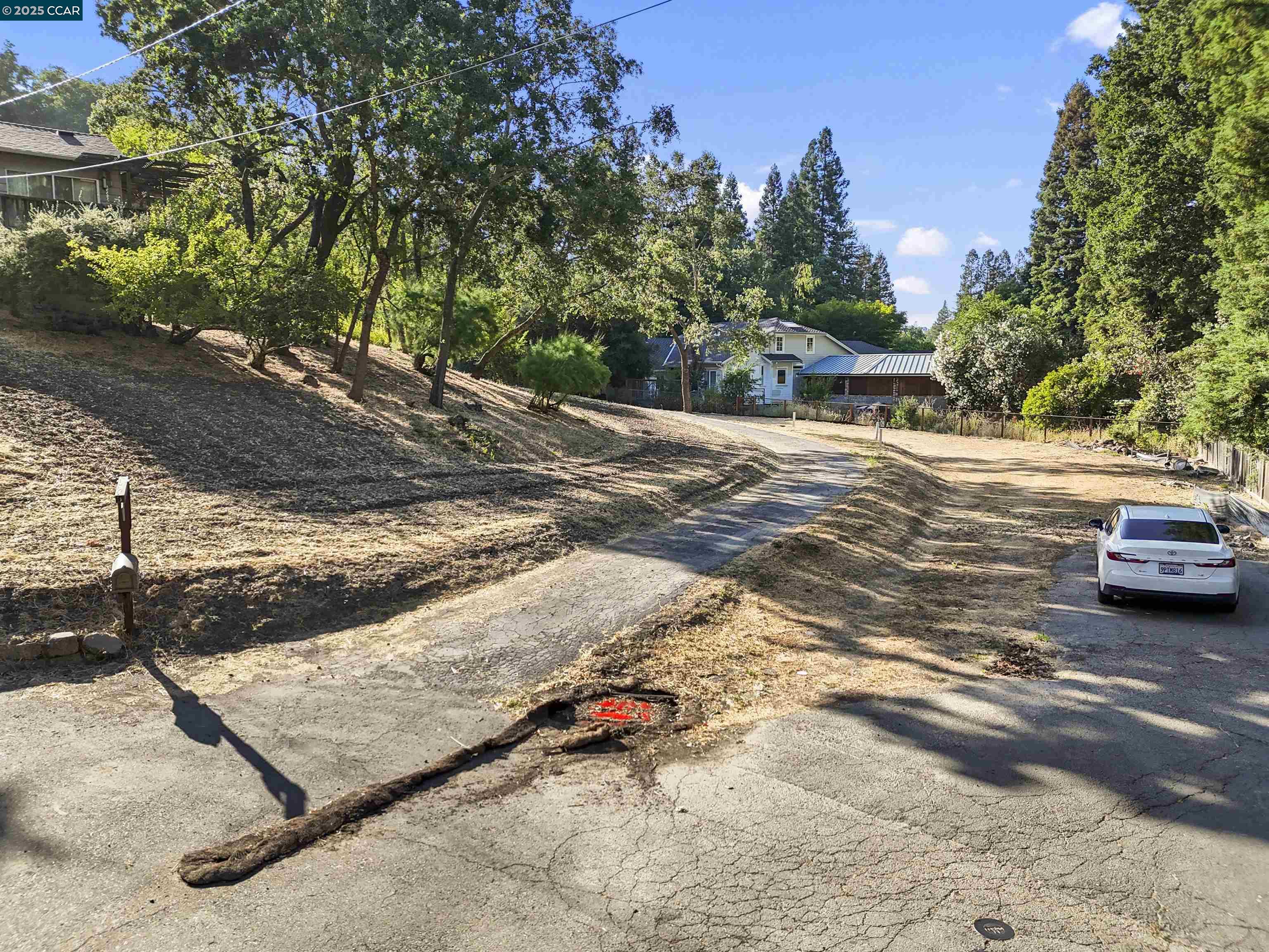 Detail Gallery Image 6 of 31 For 221 Dean Rd, Alamo,  CA 94507 - – Beds | – Baths