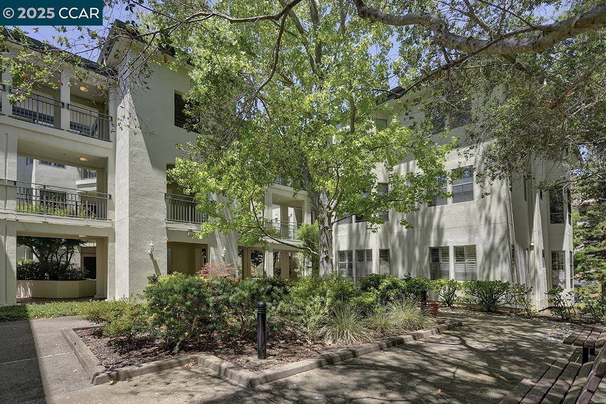 Photo #35: 41102649 Listing: Photo #35