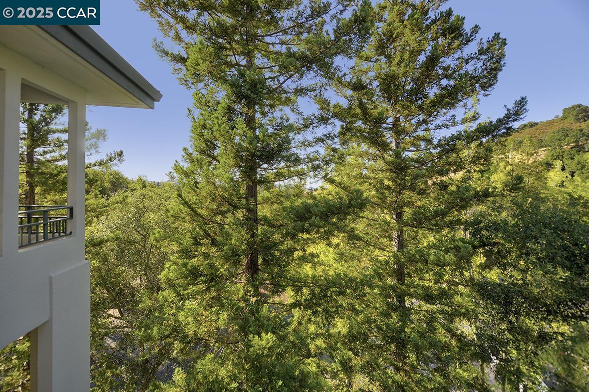 Photo #6: 41102649 Listing 