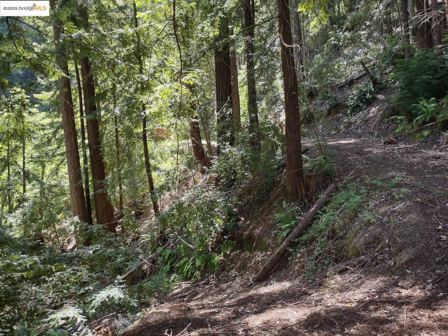 2950 Bear Canyon Road, Los Gatos, California 95033, 2 Bedrooms Bedrooms, 5 Rooms Rooms,2 BathroomsBathrooms,Residential,For Sale,2950 Bear Canyon Road,41102669