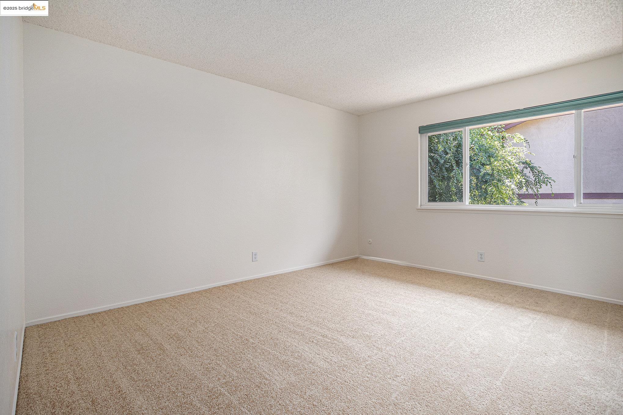 Photo #21: 41102776 Listing: Photo #21