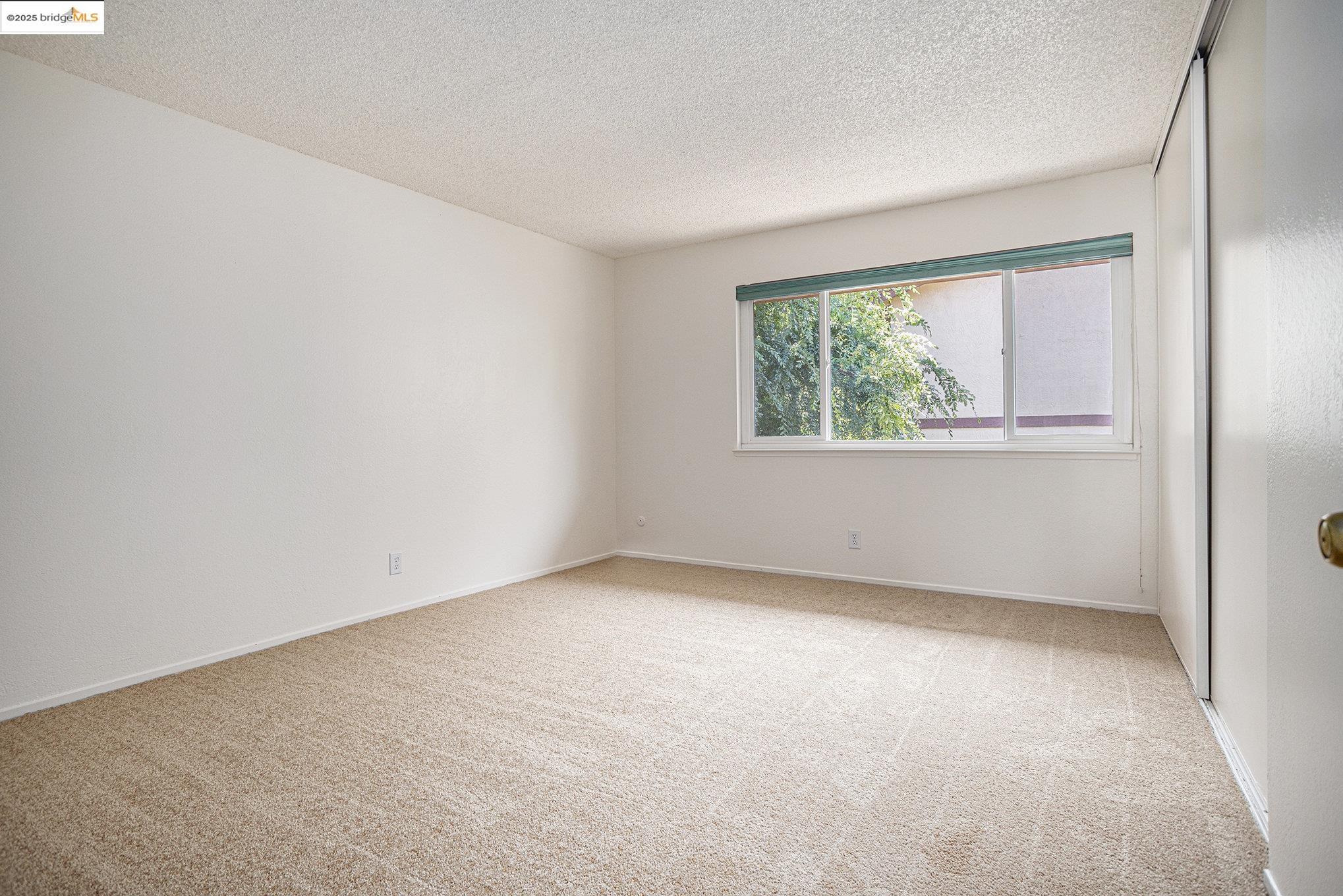 Photo #22: 41102776 Listing: Photo #22