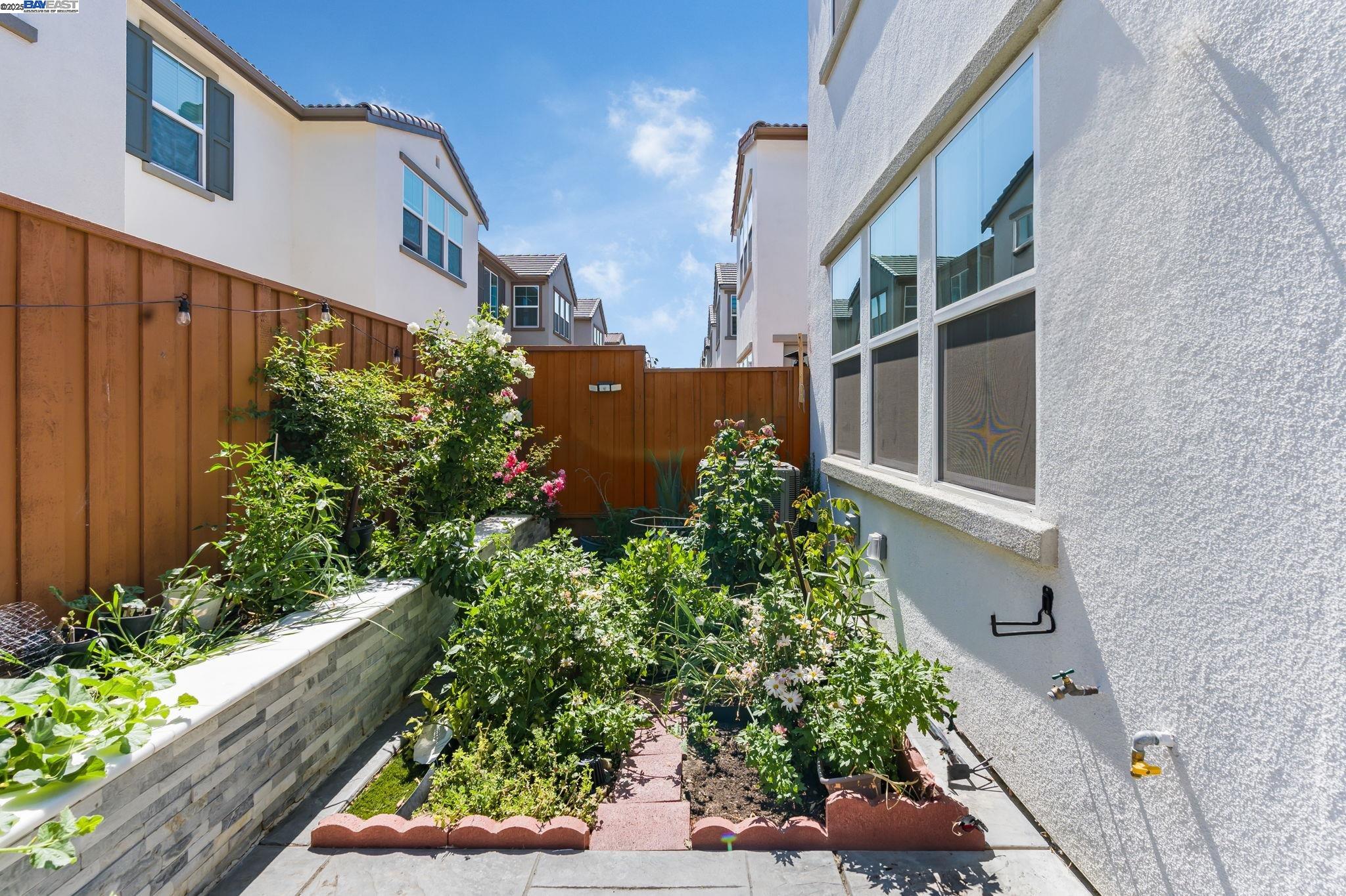 Detail Gallery Image 6 of 45 For 164 E Calder Dr, Mountain House,  CA 95391 - 3 Beds | 2/1 Baths