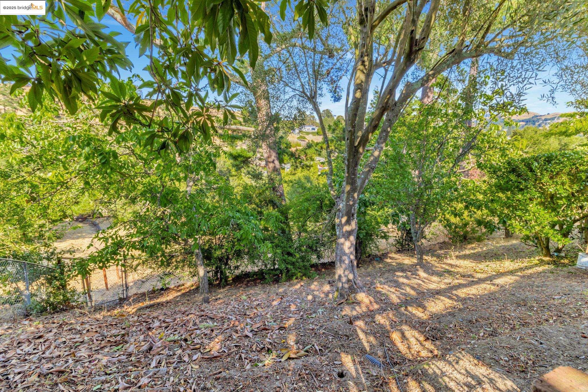 Detail Gallery Image 42 of 42 For 62 Warfield Dr, Moraga,  CA 94556-1122 - 4 Beds | 2 Baths