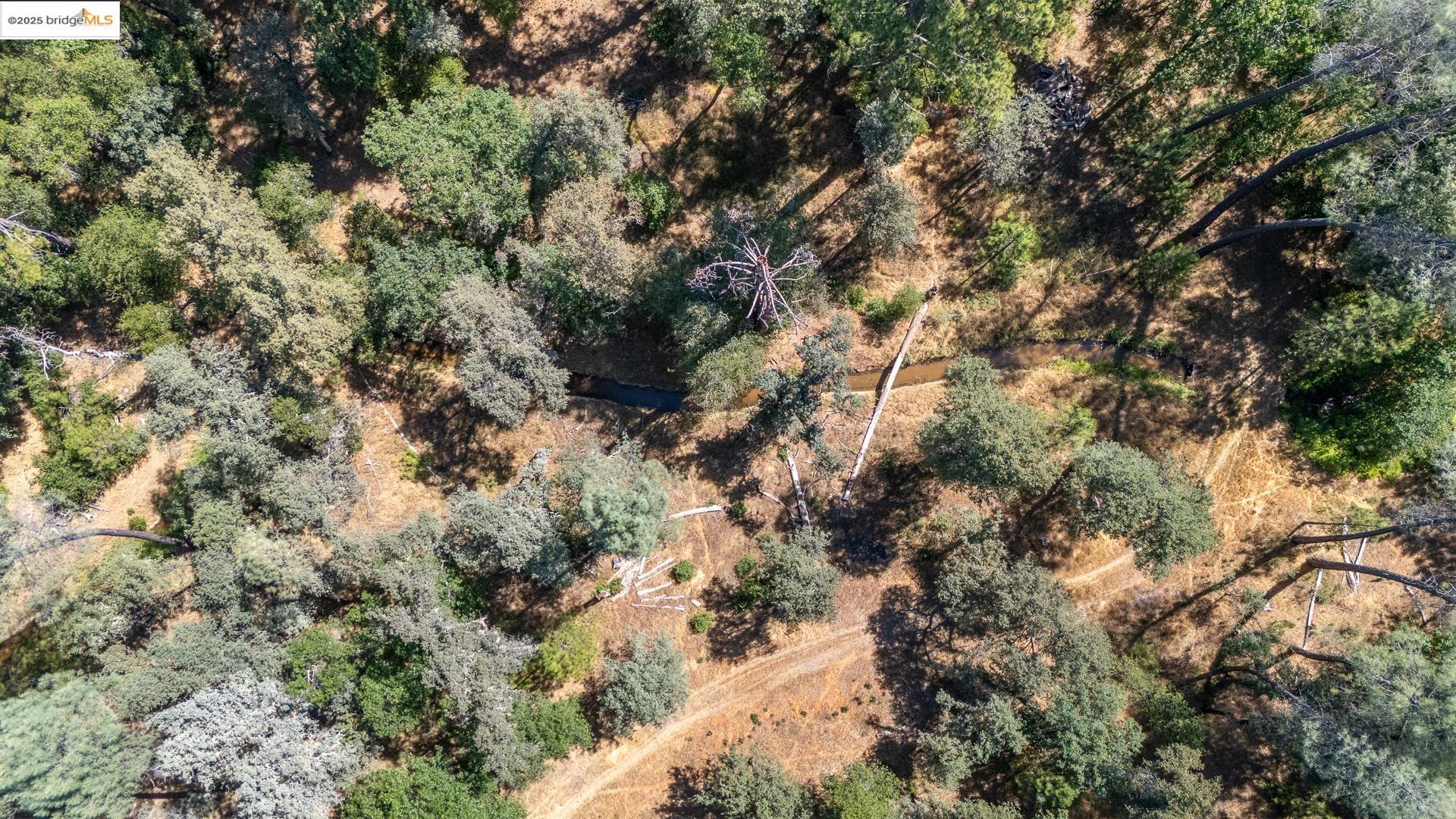 Detail Gallery Image 14 of 21 For 14464 Lorraine Lane, Sonora,  CA 95370 - – Beds | – Baths