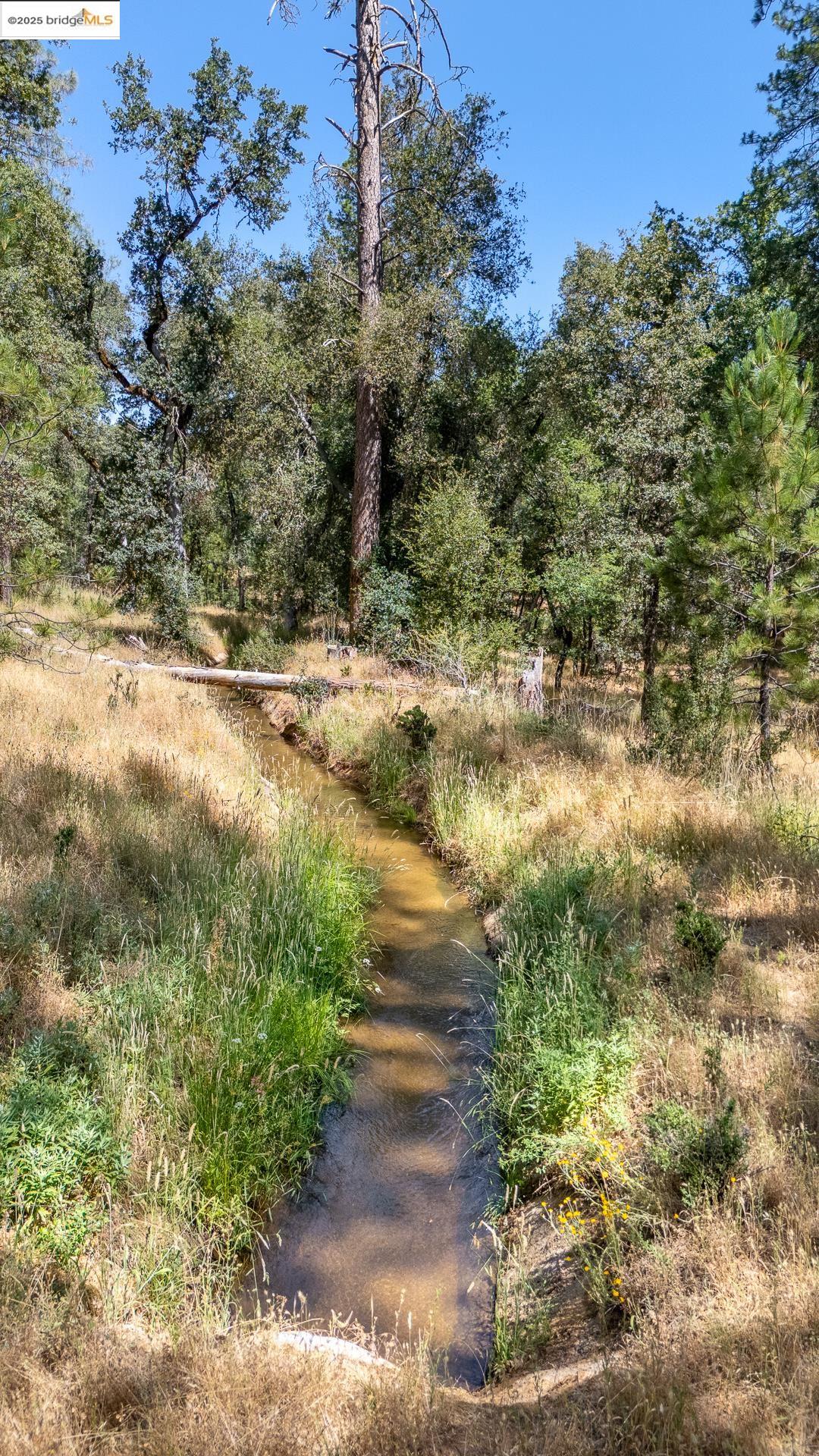 Detail Gallery Image 16 of 21 For 14464 Lorraine Lane, Sonora,  CA 95370 - – Beds | – Baths