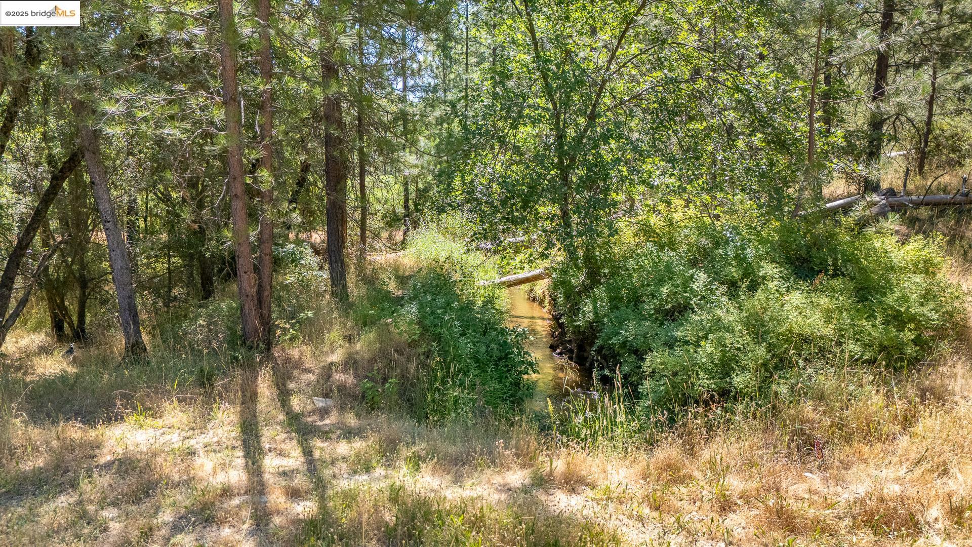 Detail Gallery Image 17 of 21 For 14464 Lorraine Lane, Sonora,  CA 95370 - – Beds | – Baths