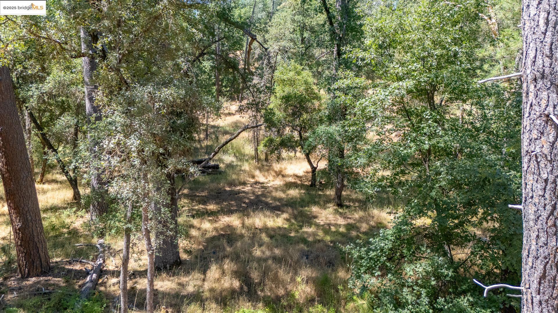 Detail Gallery Image 18 of 21 For 14464 Lorraine Lane, Sonora,  CA 95370 - – Beds | – Baths