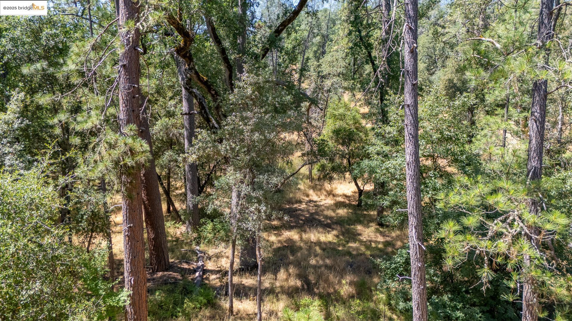 Detail Gallery Image 19 of 21 For 14464 Lorraine Lane, Sonora,  CA 95370 - – Beds | – Baths