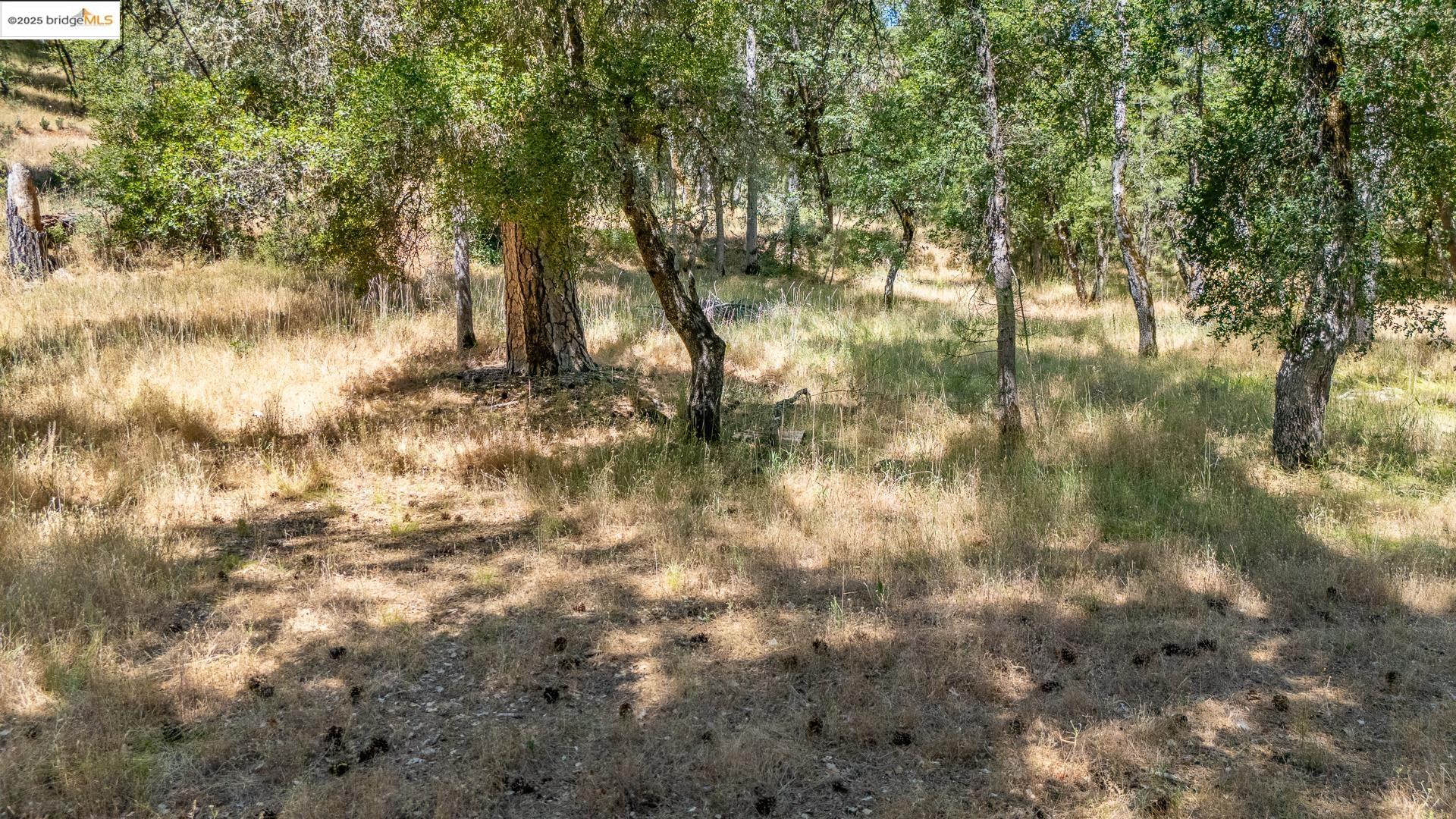 Detail Gallery Image 20 of 21 For 14464 Lorraine Lane, Sonora,  CA 95370 - – Beds | – Baths