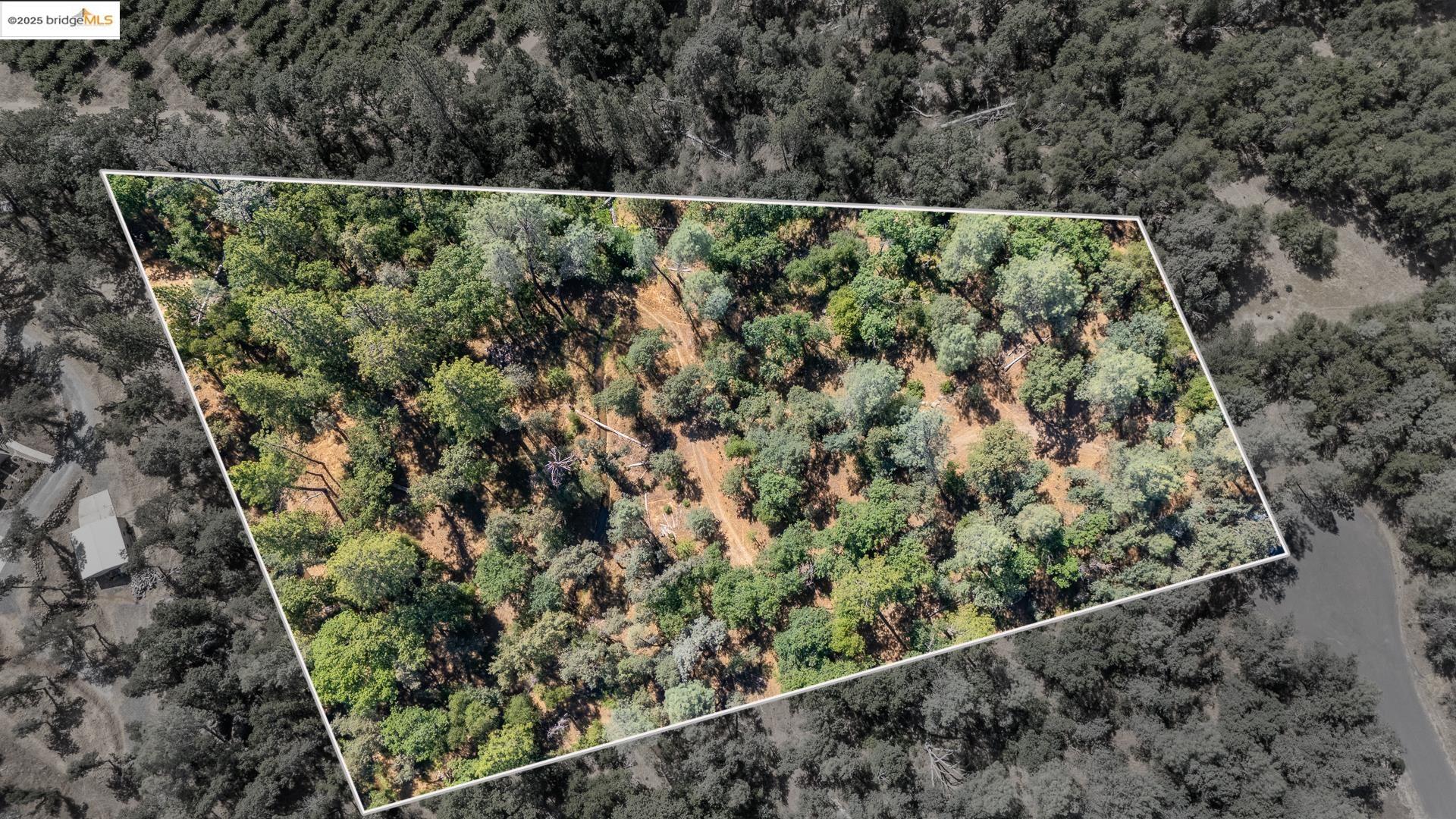 Detail Gallery Image 4 of 21 For 14464 Lorraine Lane, Sonora,  CA 95370 - – Beds | – Baths