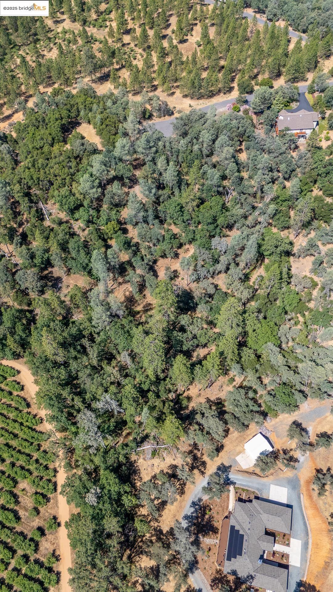 Detail Gallery Image 5 of 21 For 14464 Lorraine Lane, Sonora,  CA 95370 - – Beds | – Baths
