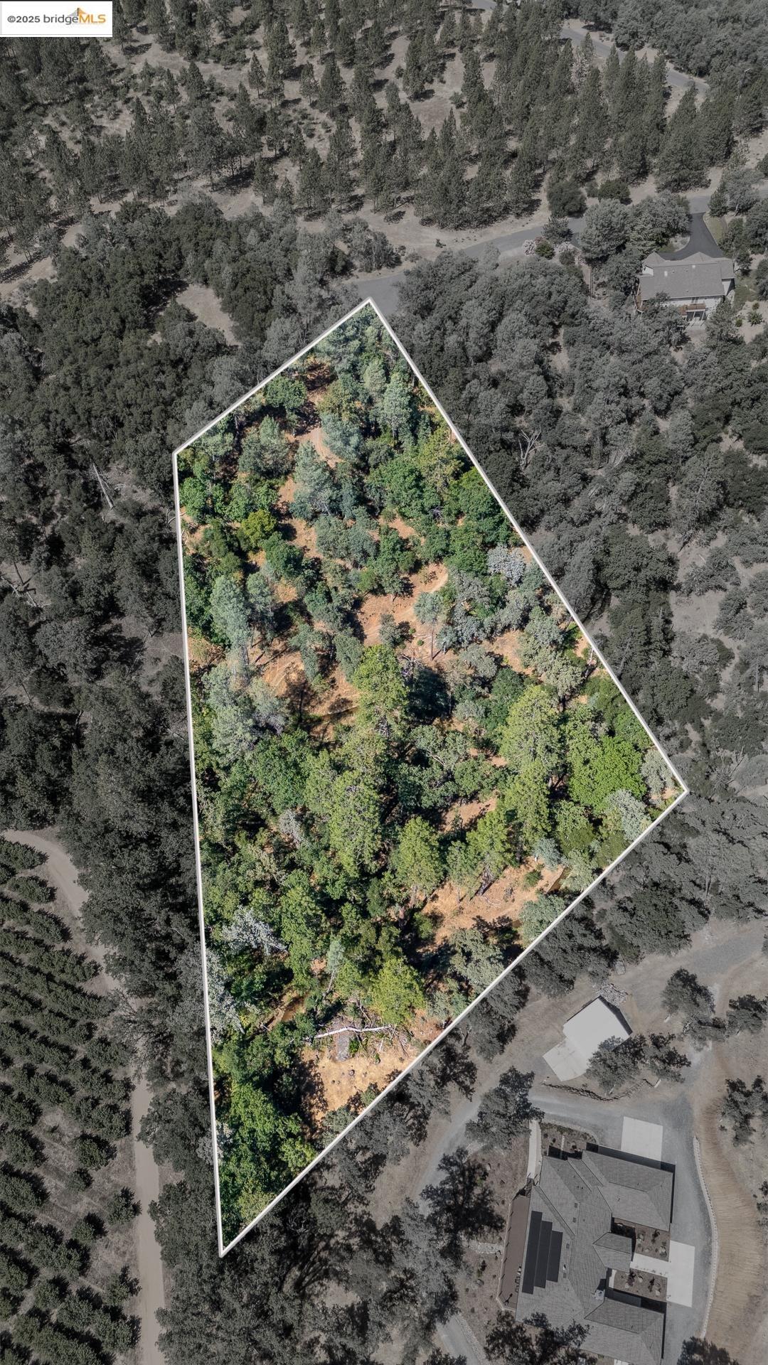 Detail Gallery Image 6 of 21 For 14464 Lorraine Lane, Sonora,  CA 95370 - – Beds | – Baths